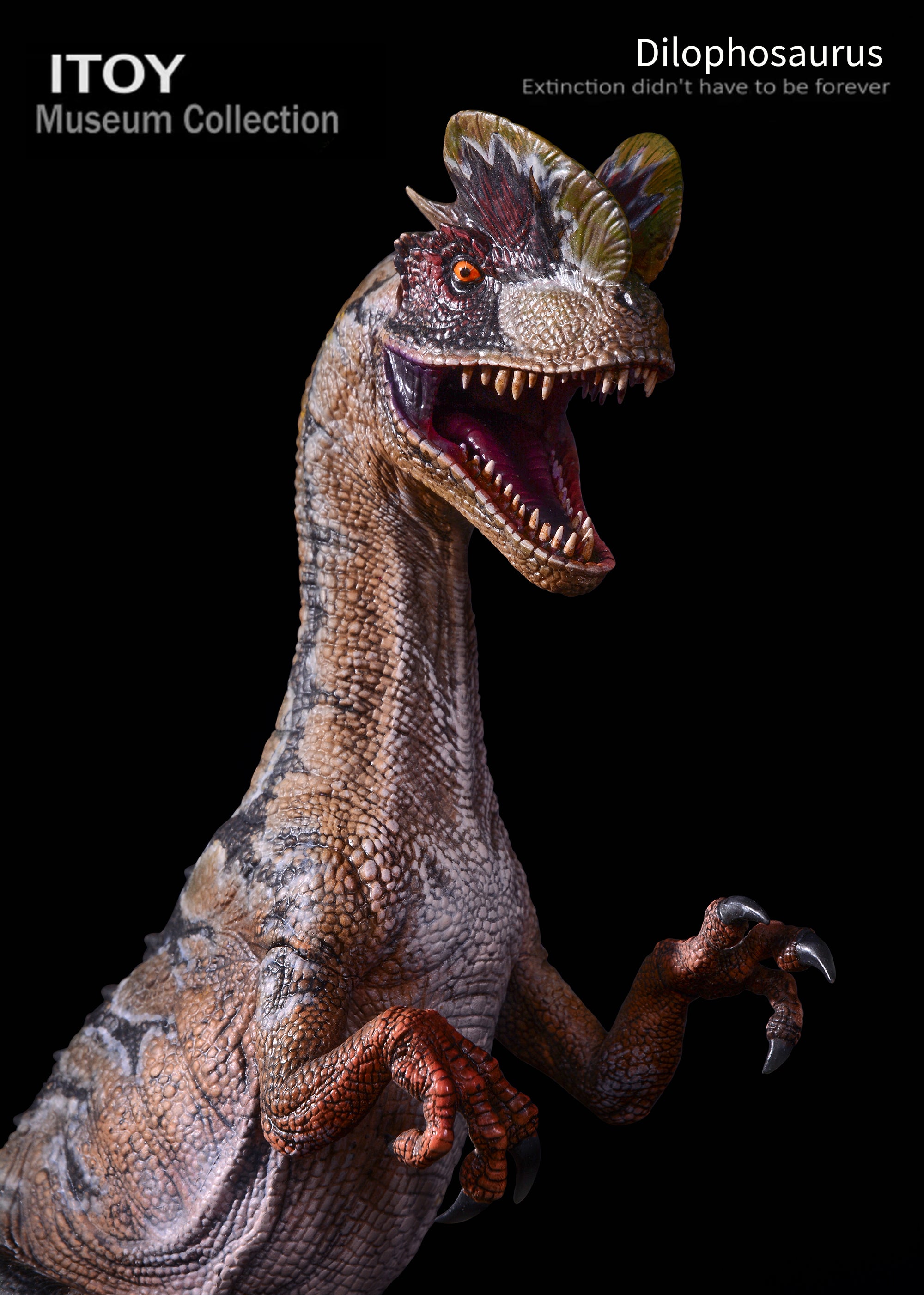 ITOY Museum Collection 1/15 Scale Dilophosaurus Fighting Model