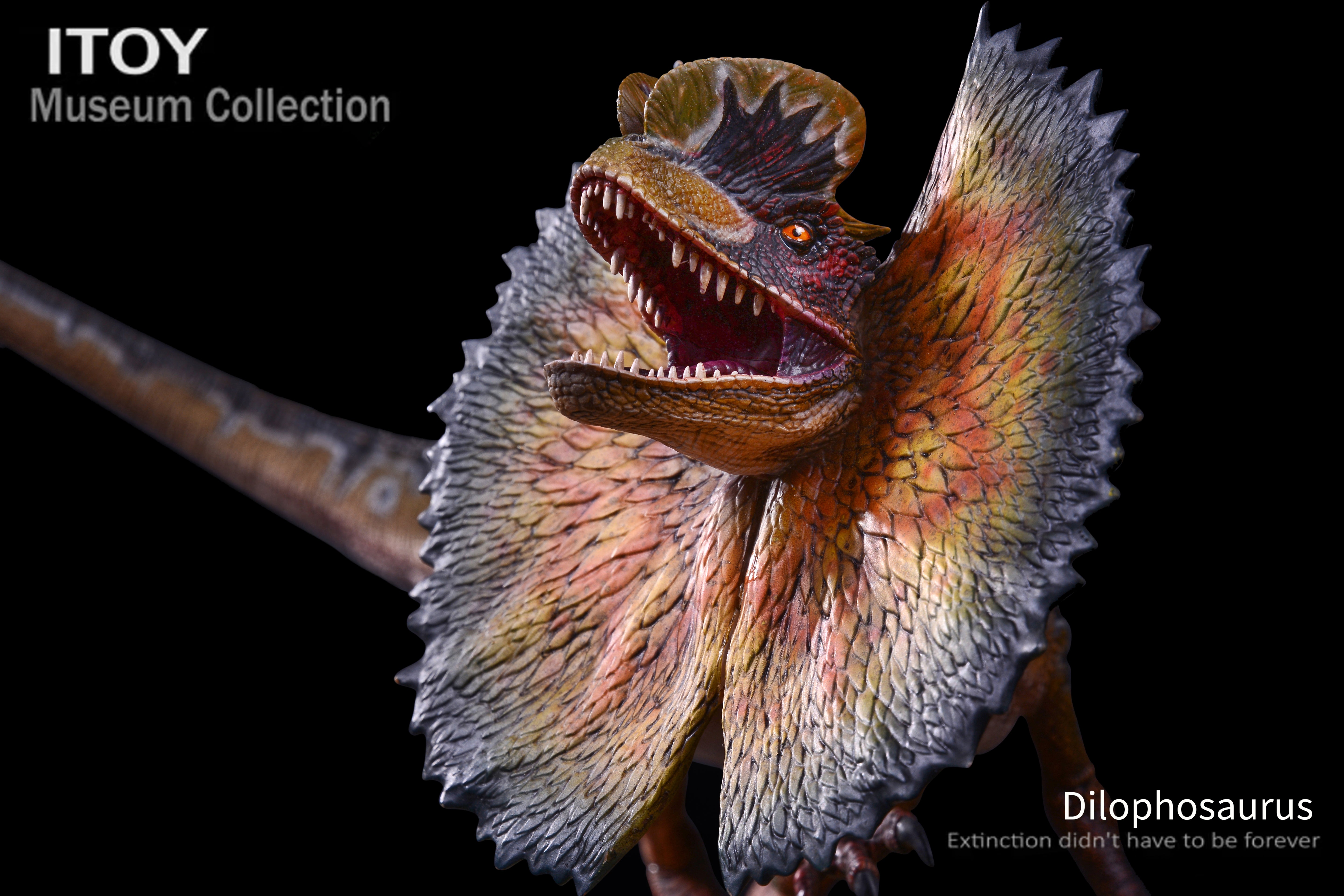 ITOY Museum Collection 1/15 Scale Dilophosaurus Fighting Model