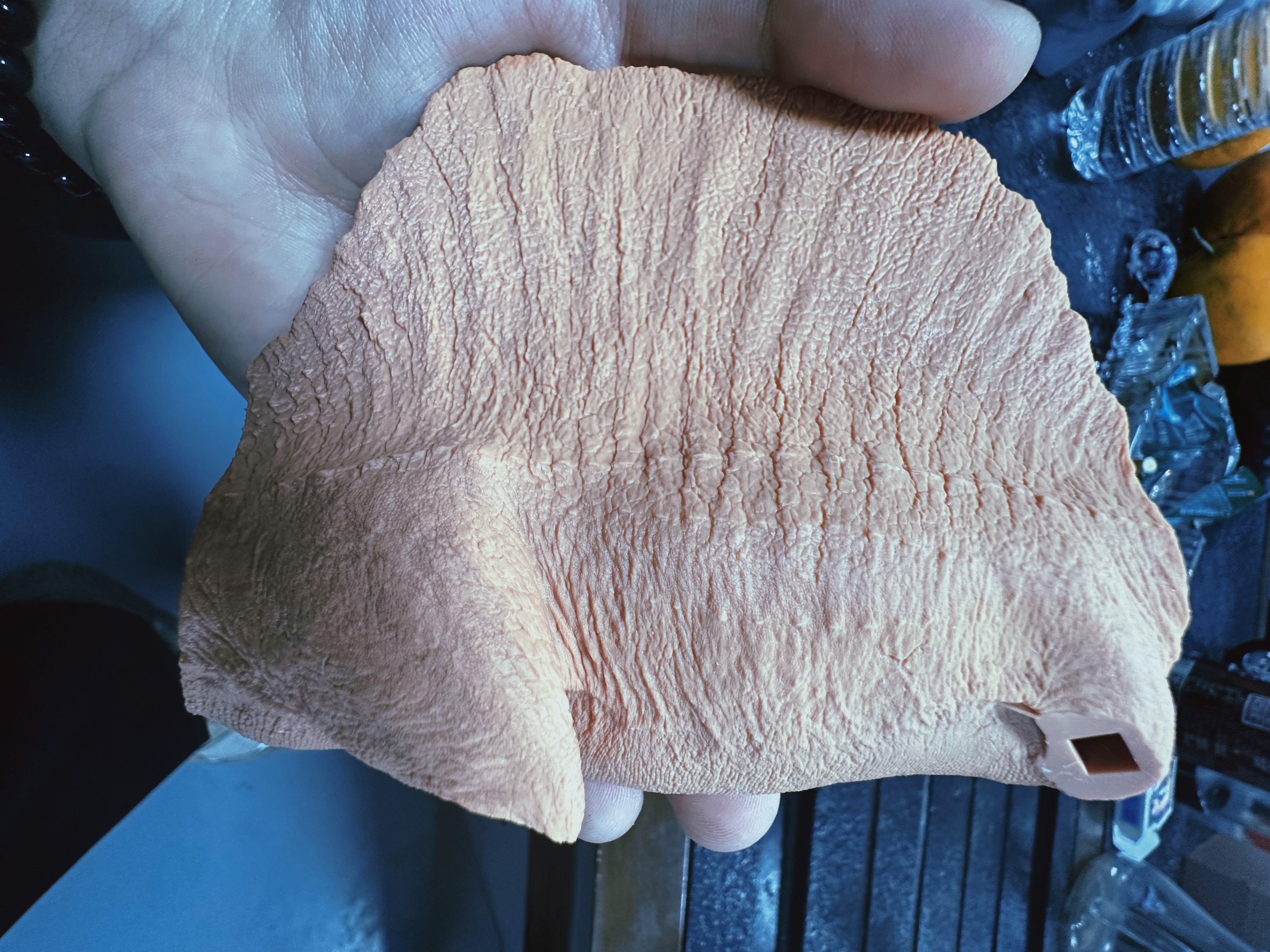 SHOWANNA 1:35 Scale Spinosaurus Statue