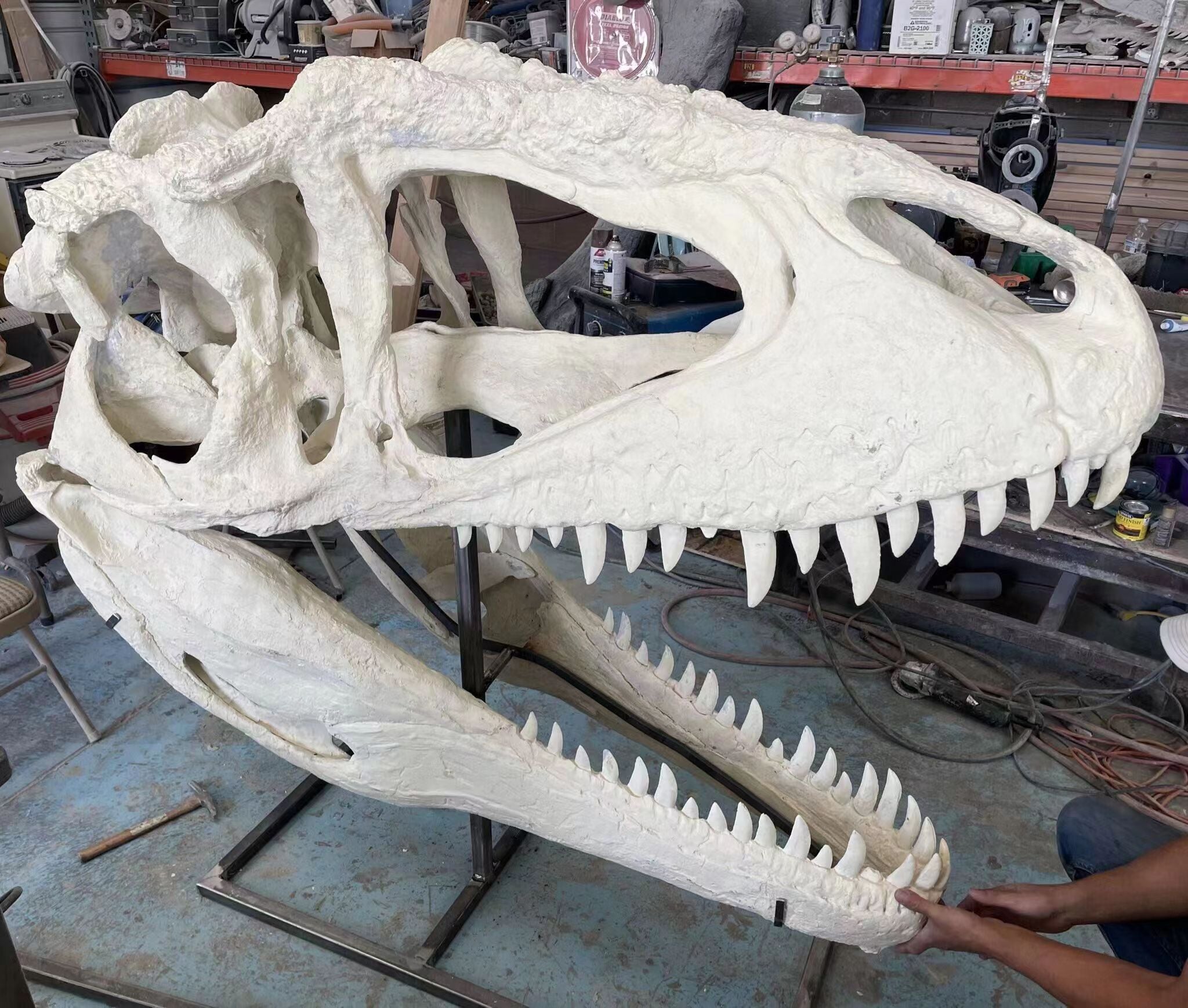 Greenhouse Revolution Studio 1/35 Scale Carcharodontosaurus Scene Model