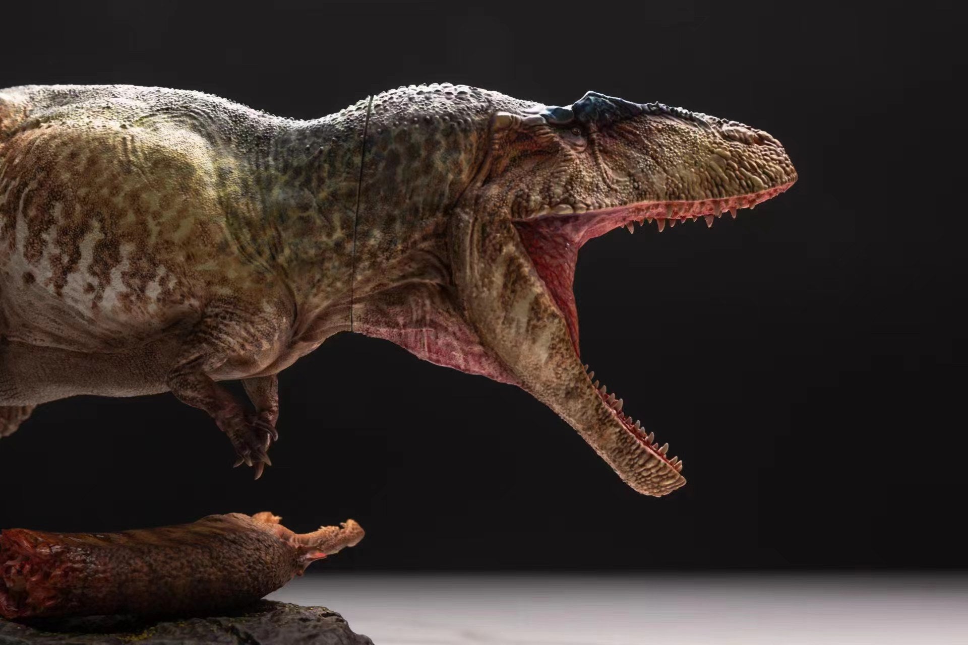 Greenhouse Revolution Studio 1/35 Scale Carcharodontosaurus Scene Model