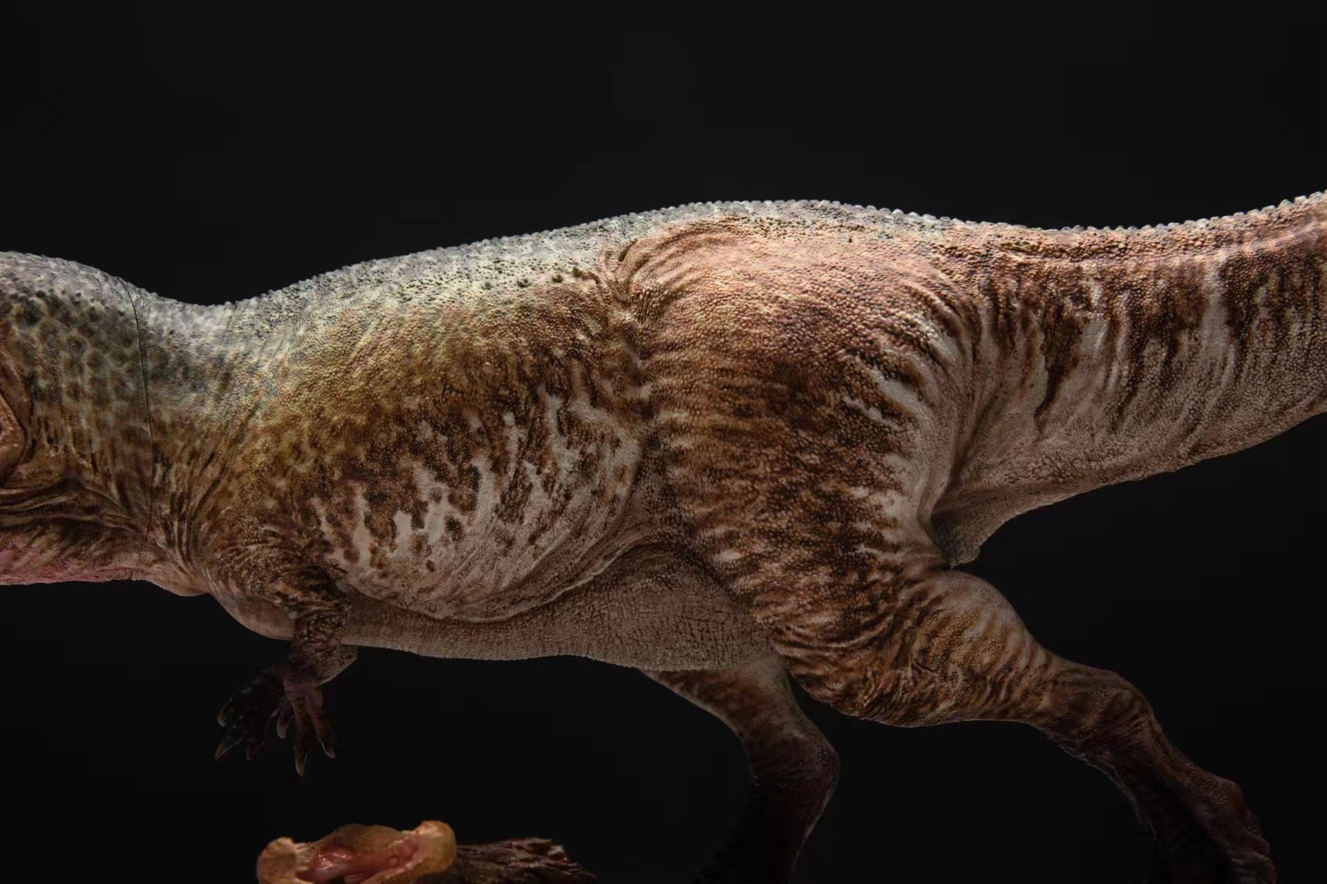 Greenhouse Revolution Studio 1/35 Scale Carcharodontosaurus Scene Model