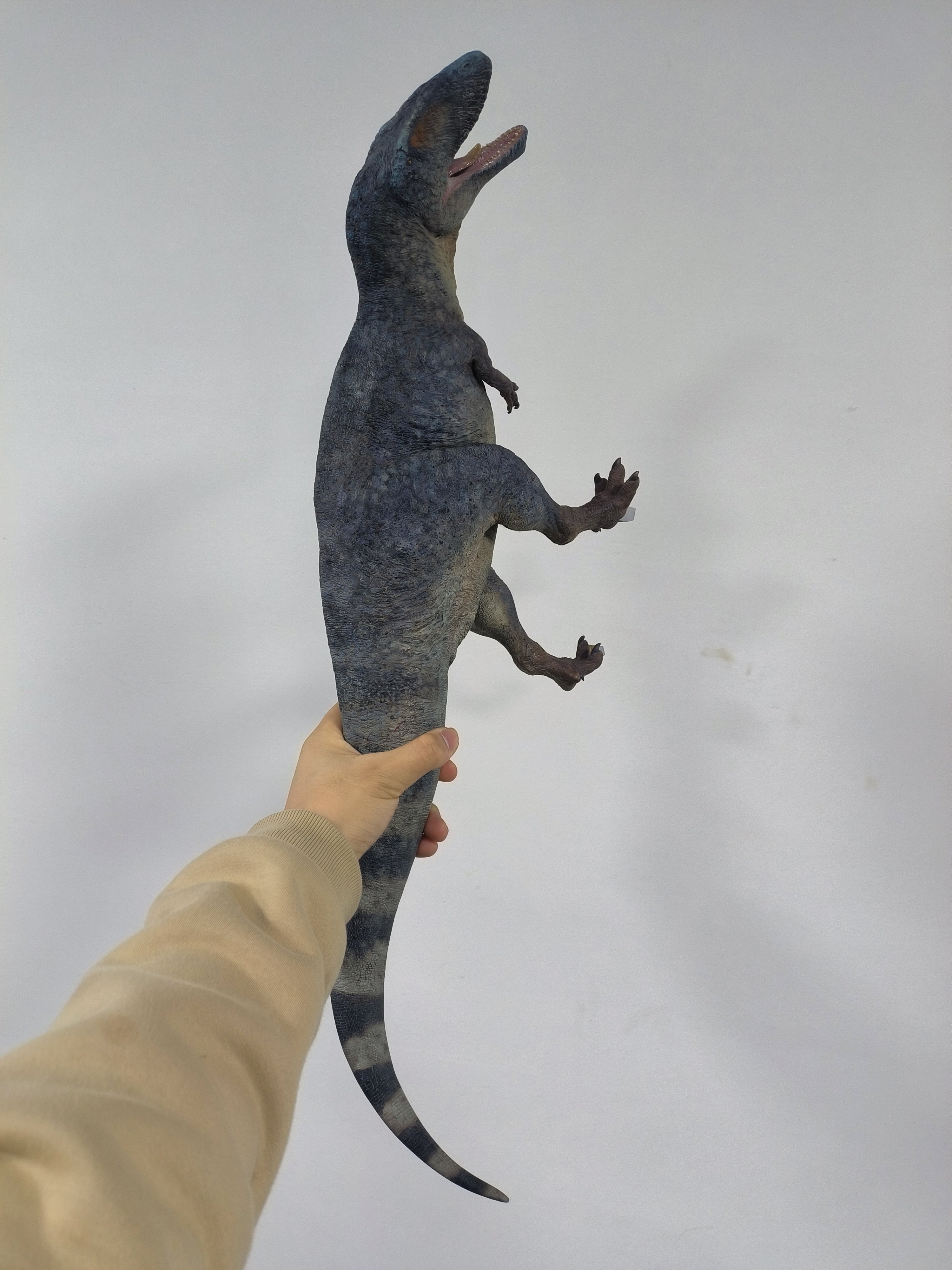 SHOWANNA 1:10 Scale Carcharodontosaurus Statue