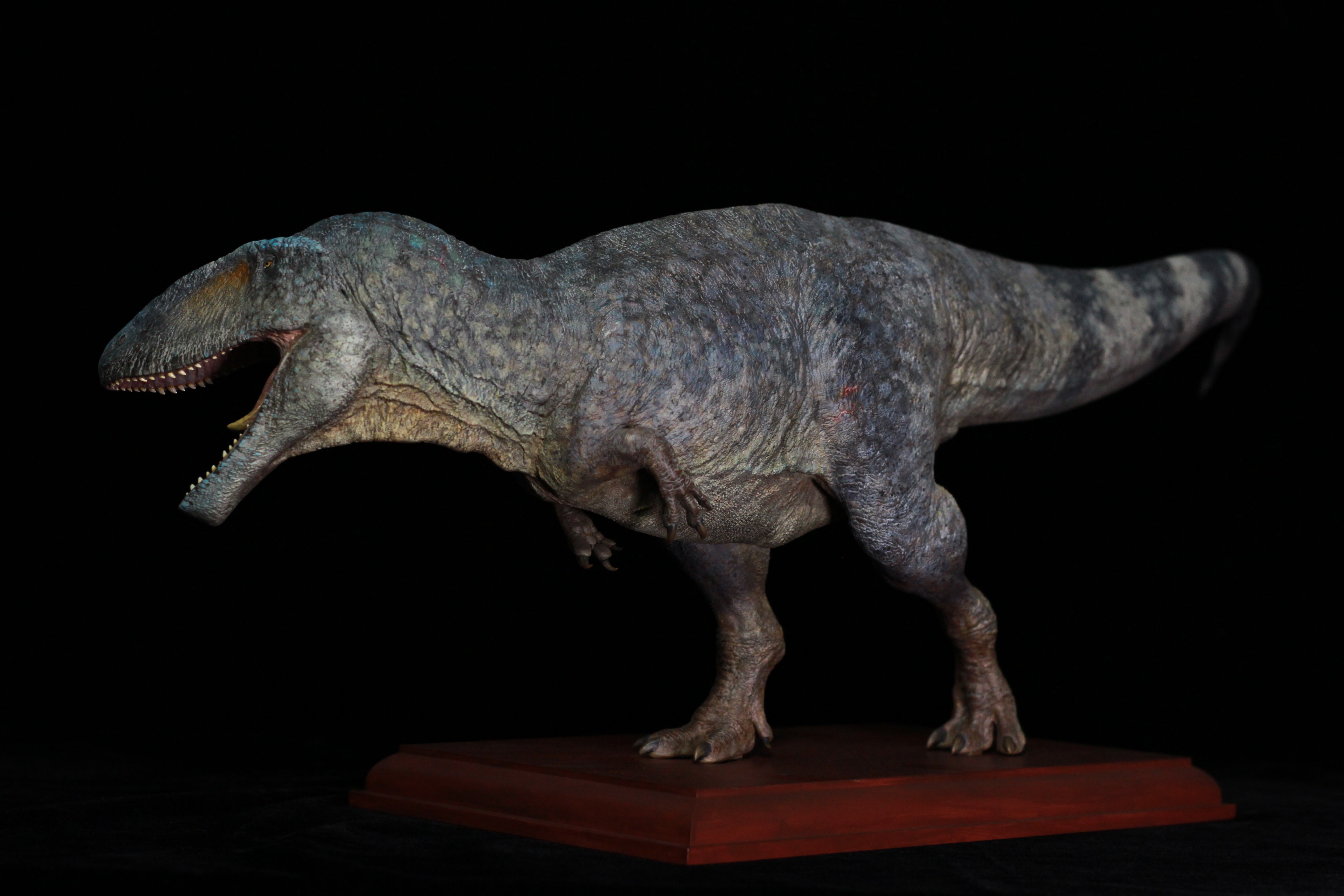 SHOWANNA 1:10 Scale Carcharodontosaurus Statue