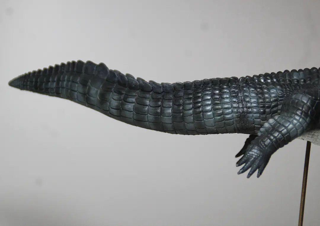 Rheic 1/35 Purussaurus Model