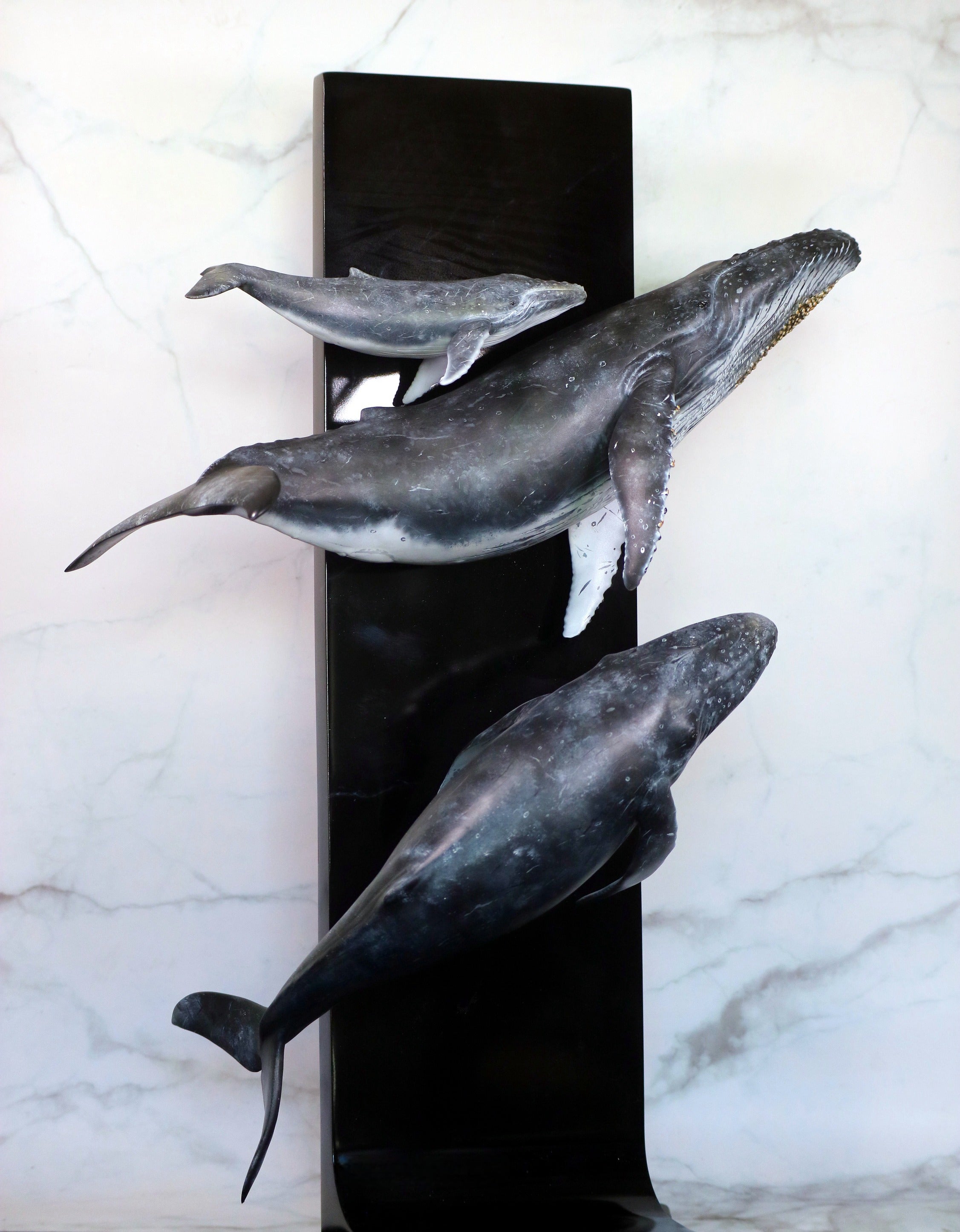 Sumeru Studio 1:35 Scale Humpback Whale Scene Model Painted Version