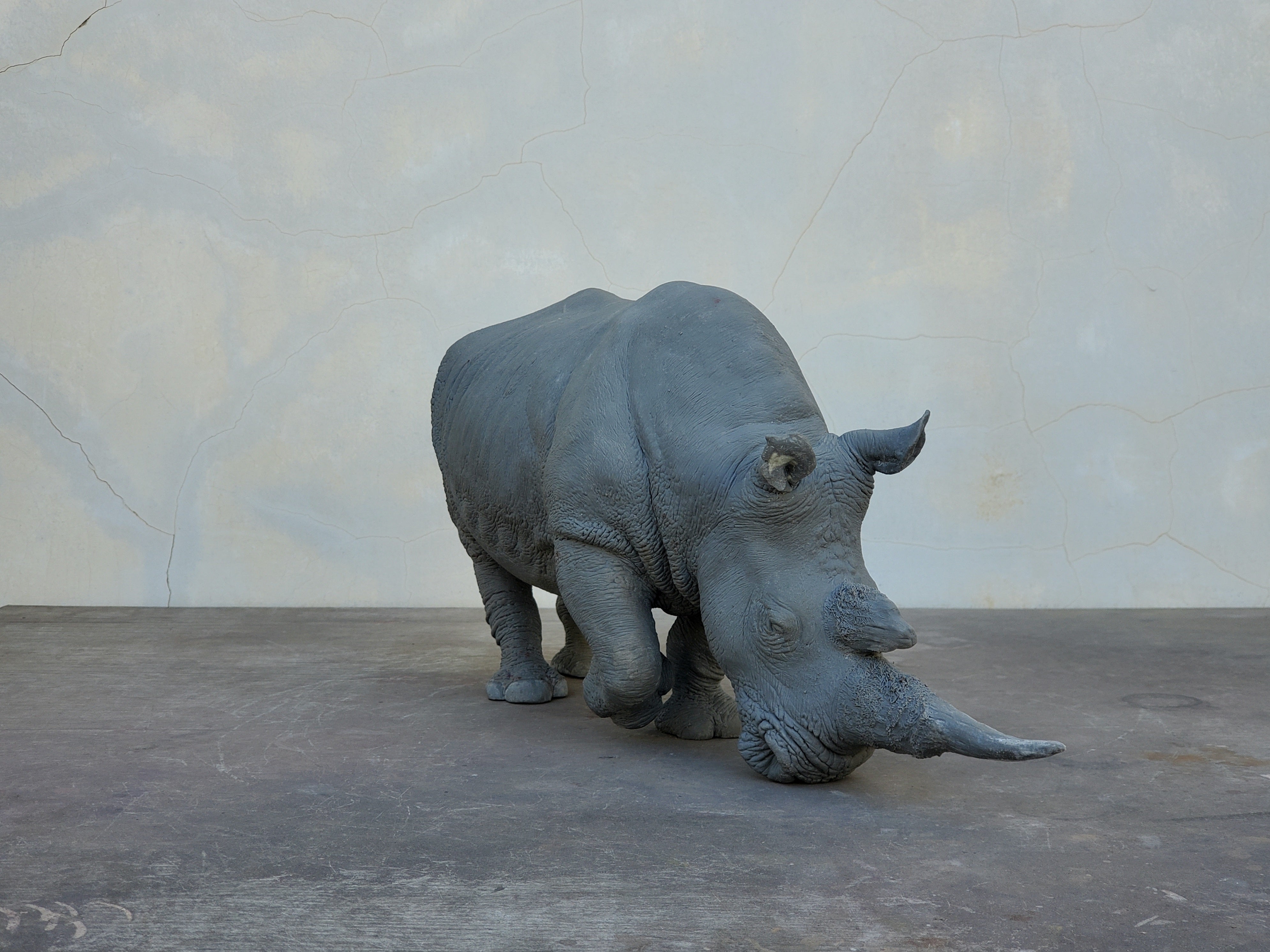 TUNAN Studio 1/10 Scale White Rhino Model