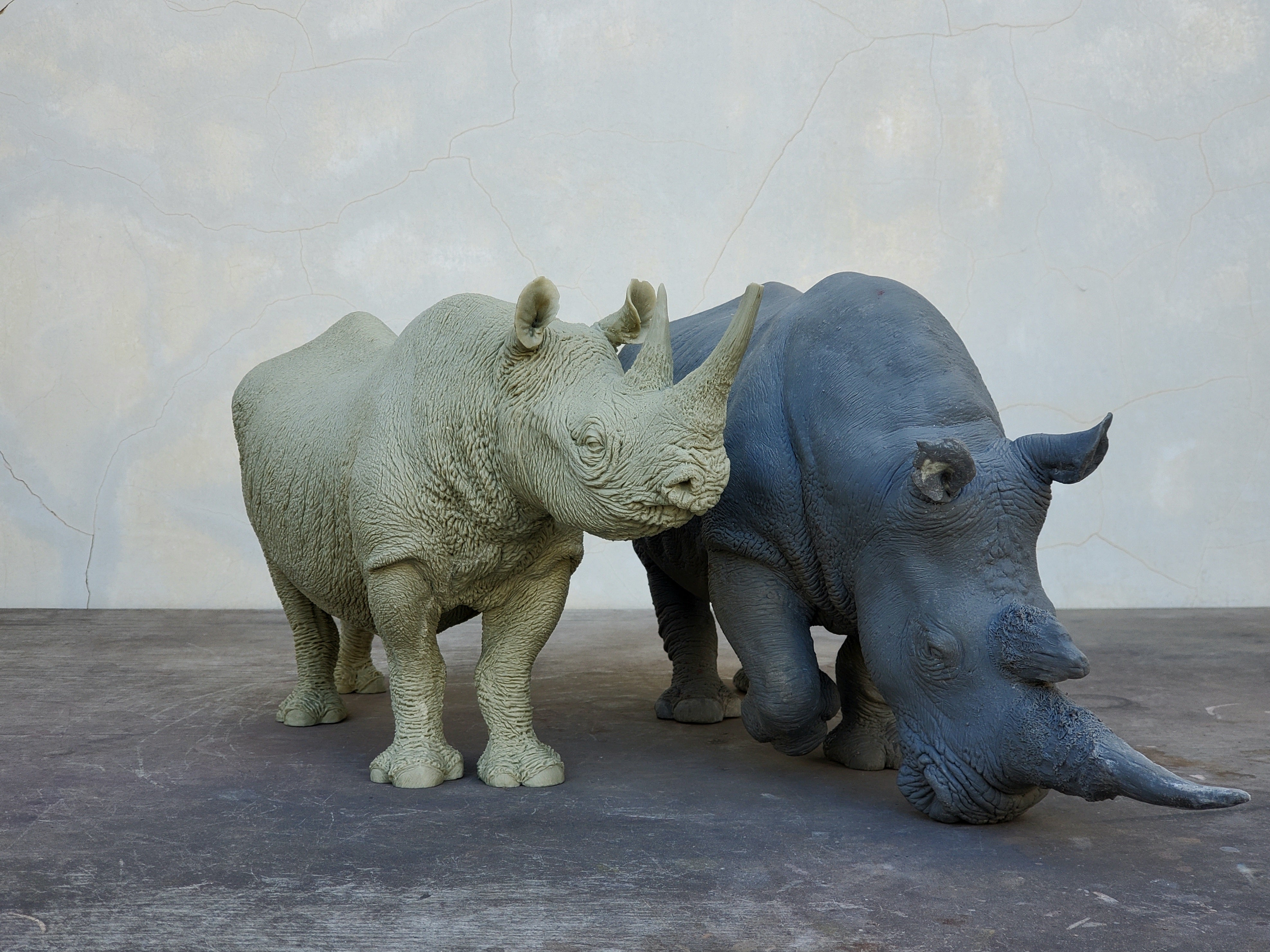TUNAN Studio 1/10 Scale White Rhino Model