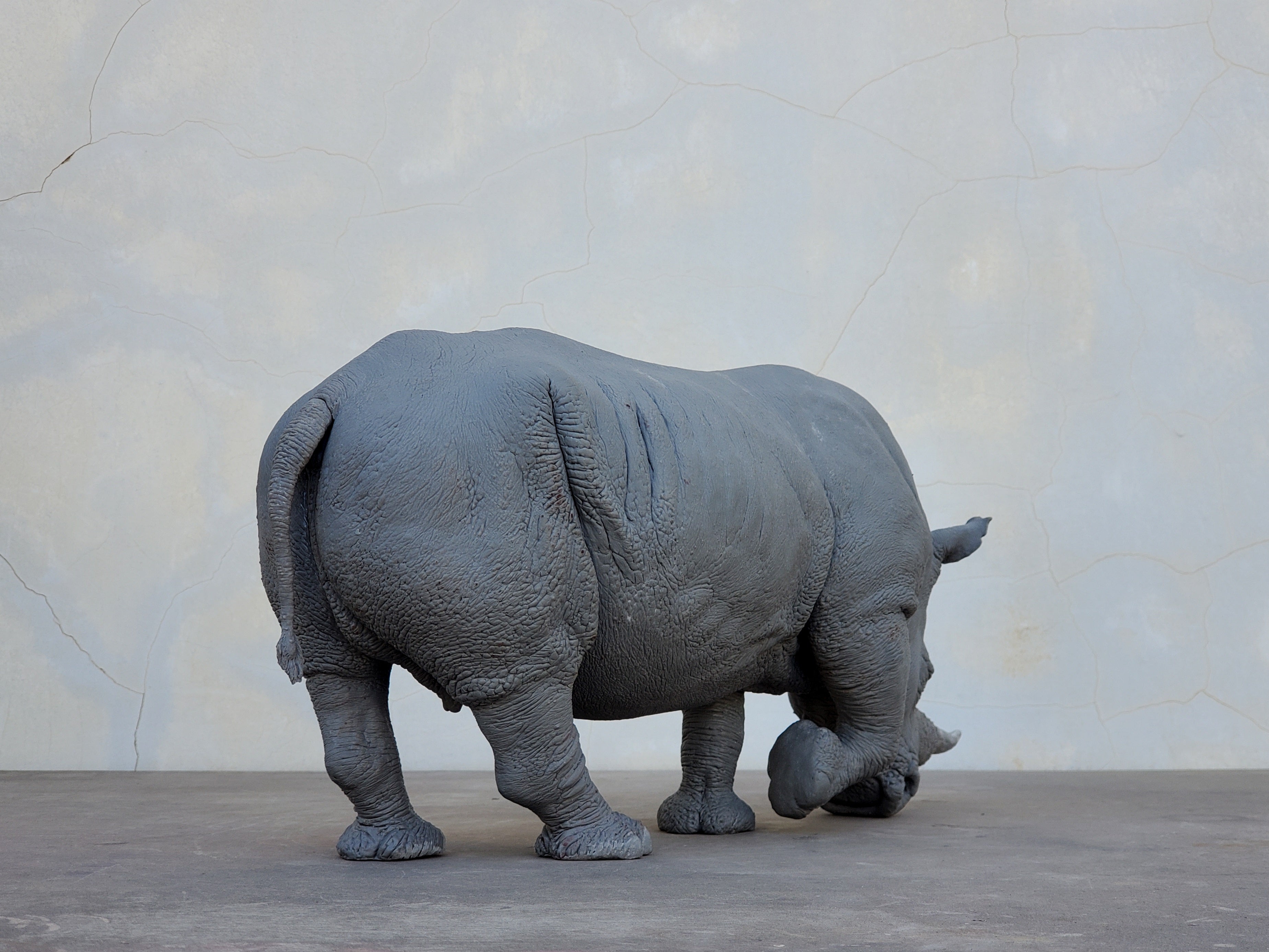 TUNAN Studio 1/10 Scale White Rhino Model
