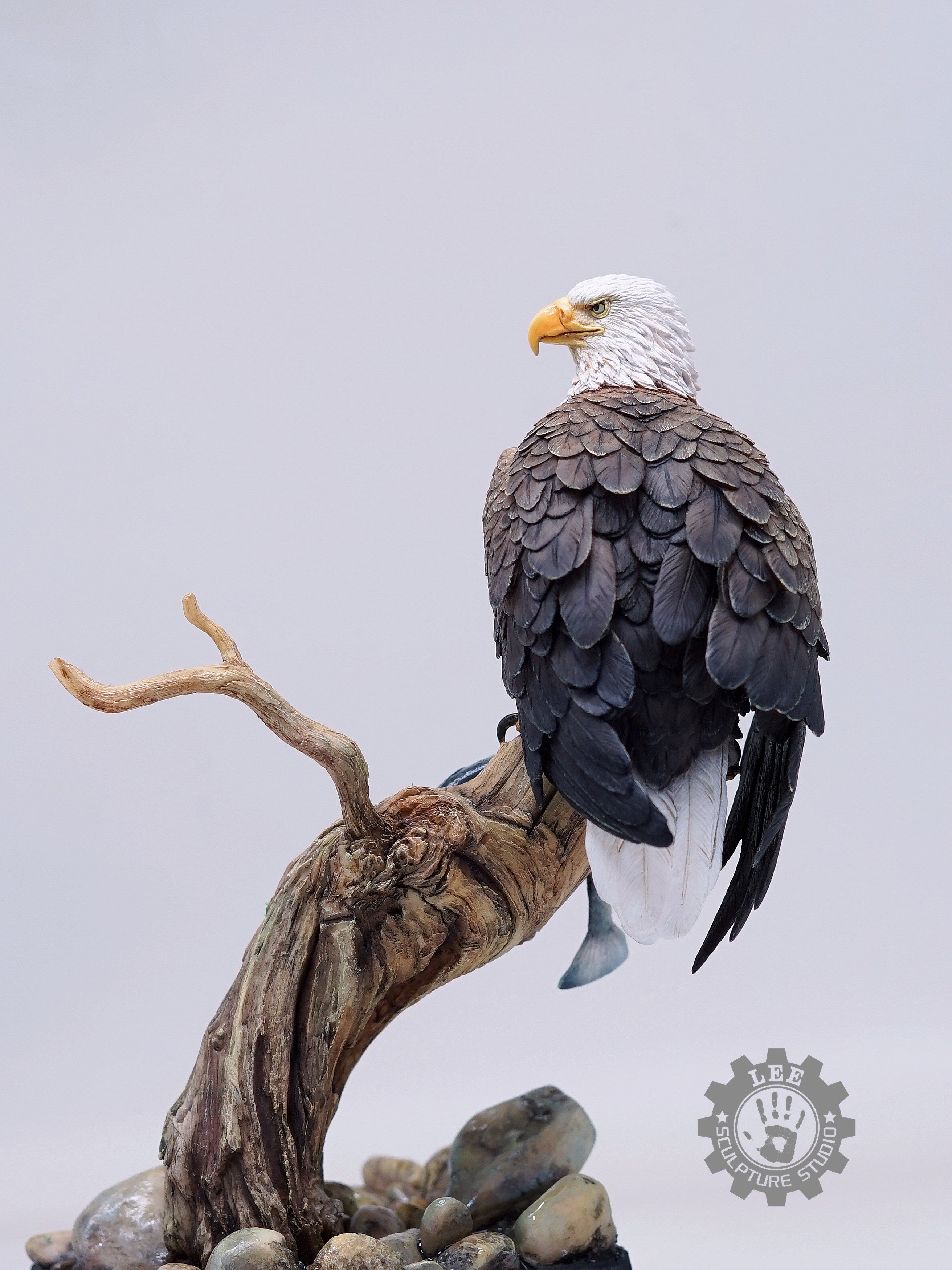 LEE Studio Bald Eagle Model