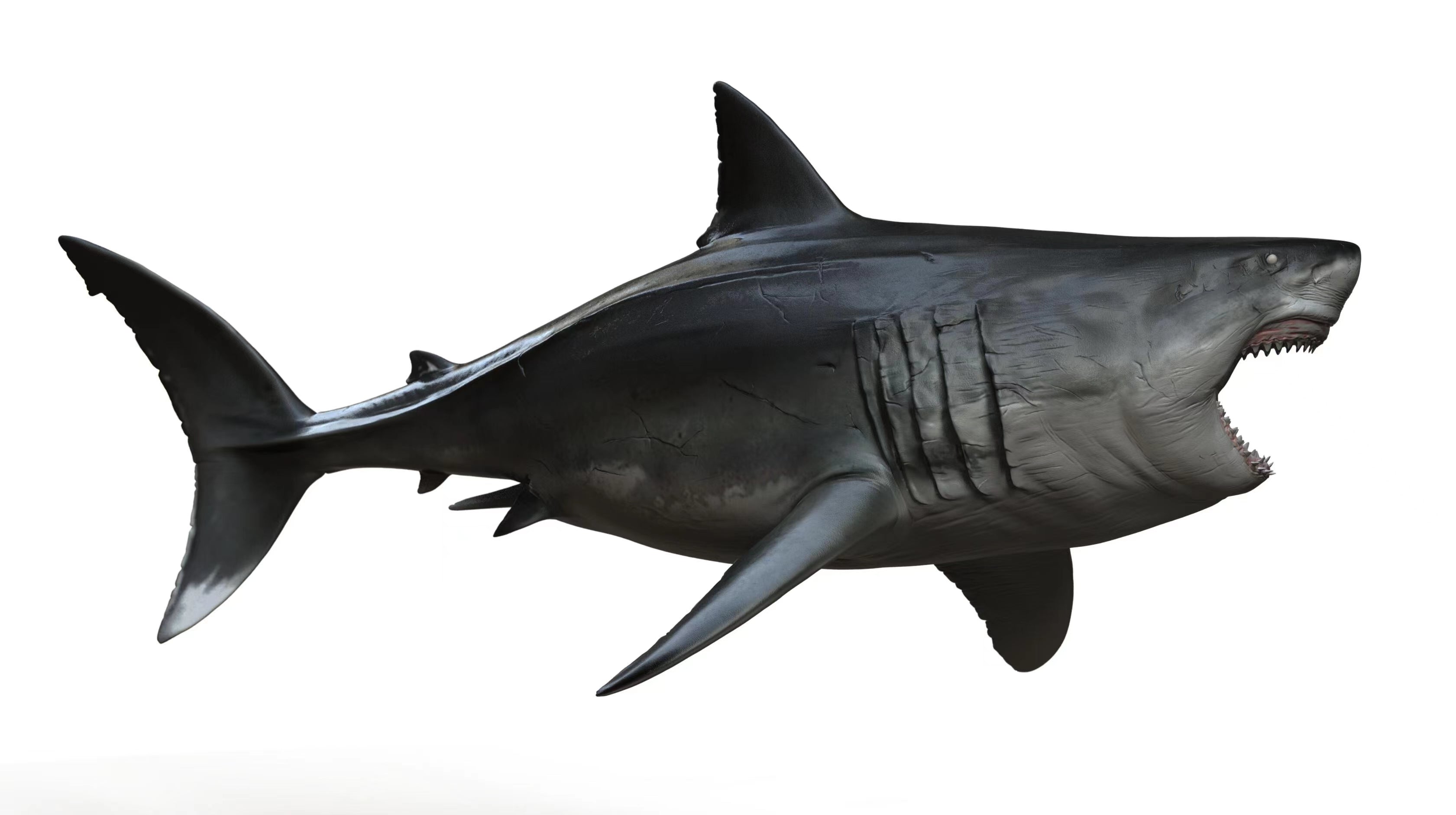 JA Studio Megalodon Hunting minke whale Model