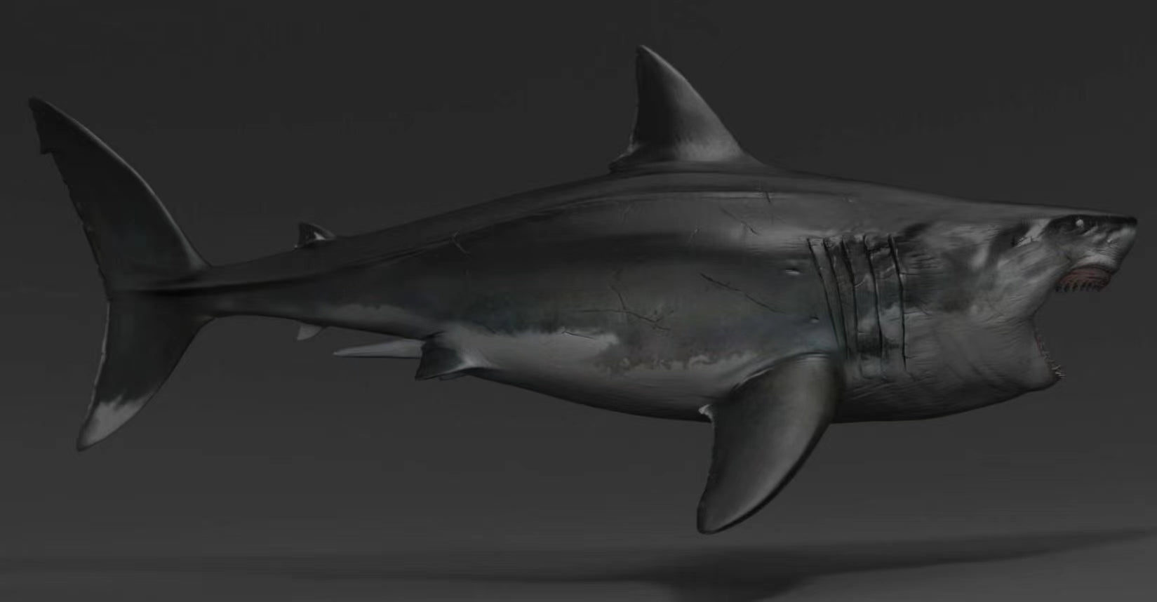 JA Studio Megalodon Hunting minke whale Model