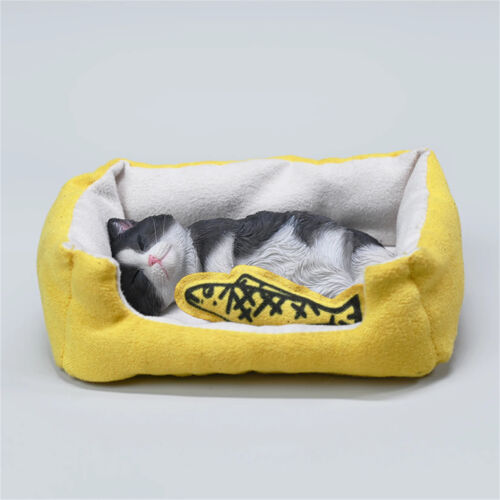 JXK 1/6 Lethargic Cat 8.0 Model