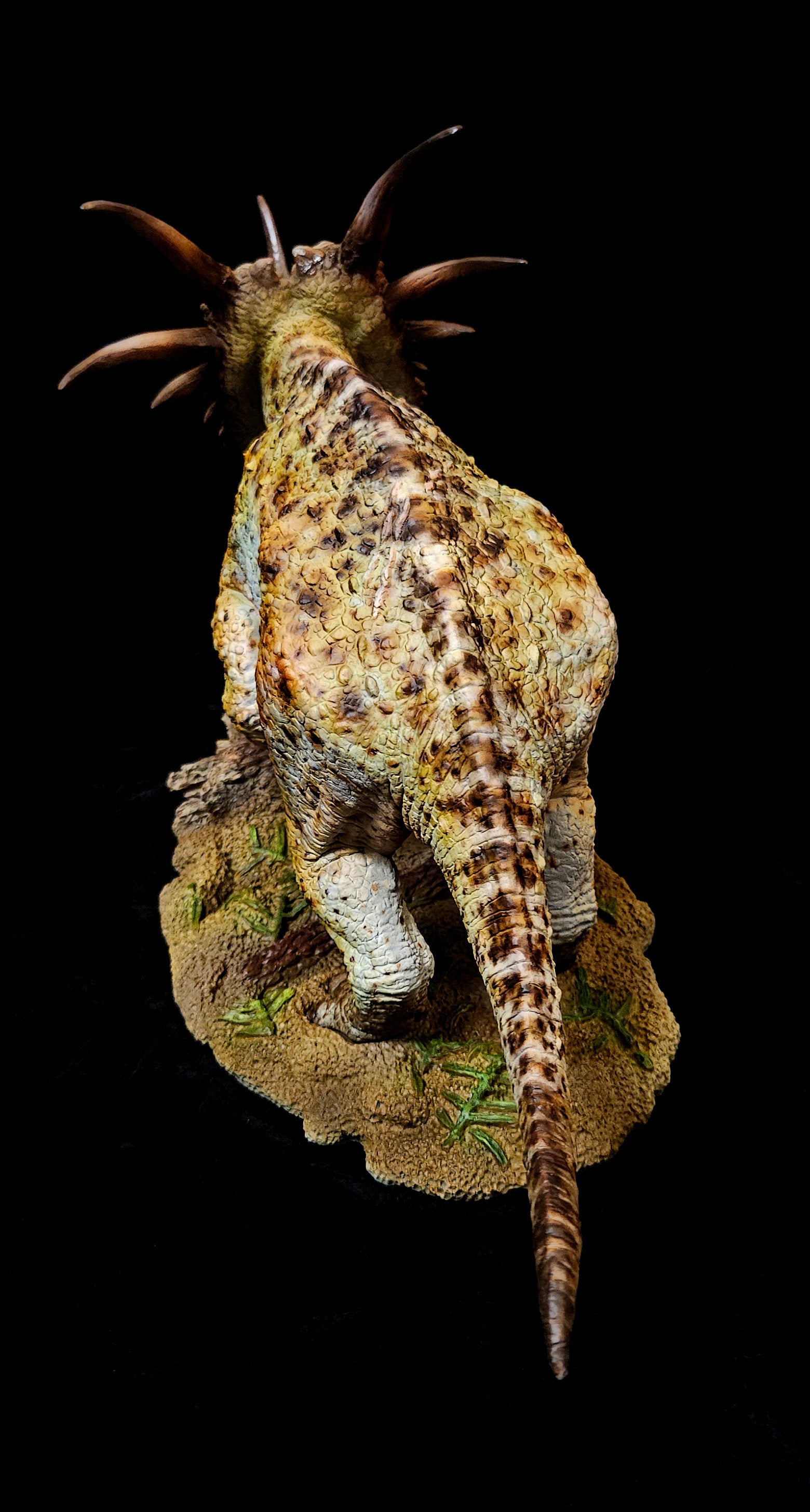 Sumeru Studio Styracosaurus Model