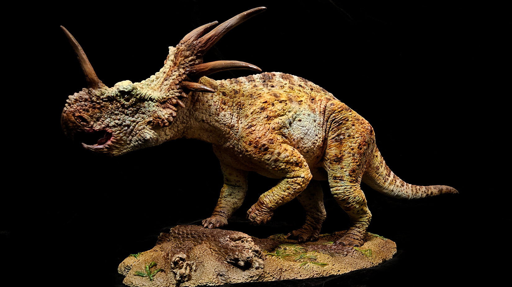 Sumeru Studio Styracosaurus Model