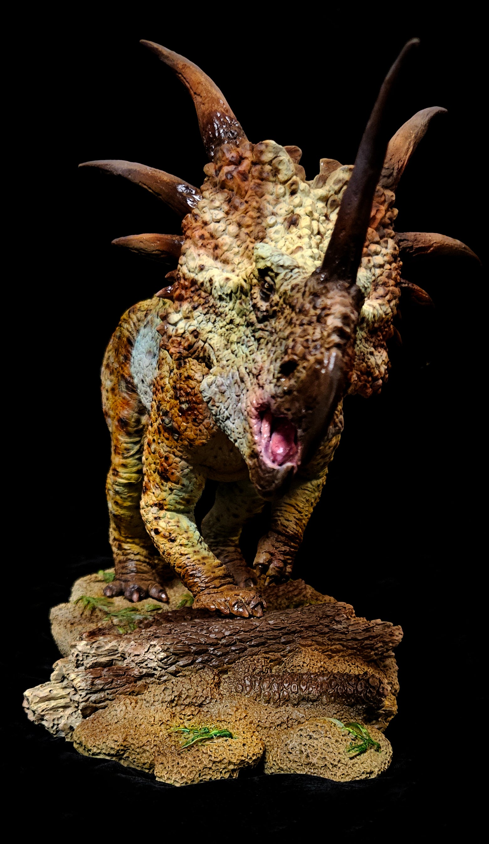 Sumeru Studio Styracosaurus Model