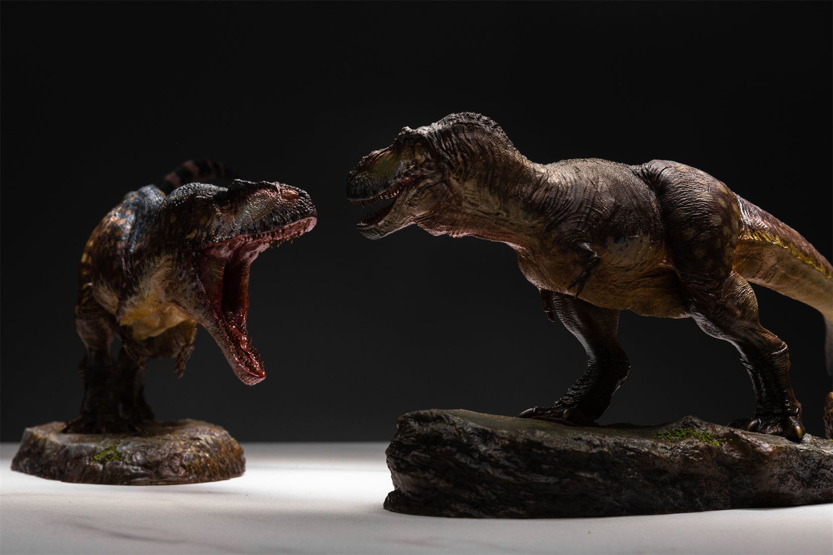 Greenhouse Revolution Studio 1/35 Scale Zhuchengtyrannus Model
