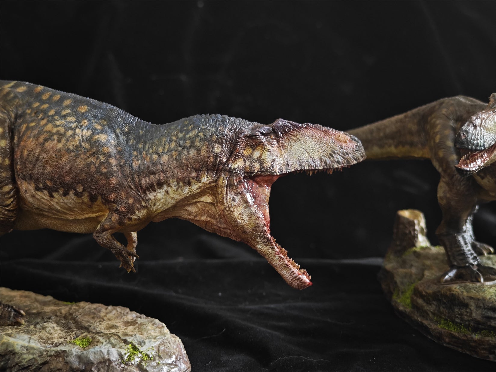 Greenhouse Revolution Studio 1/35 Scale Zhuchengtyrannus Model