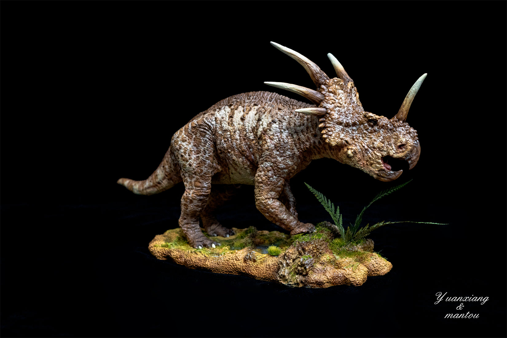 Sumeru Studio Styracosaurus Model