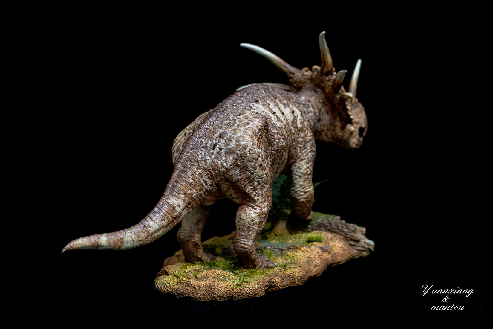 Sumeru Studio Styracosaurus Model