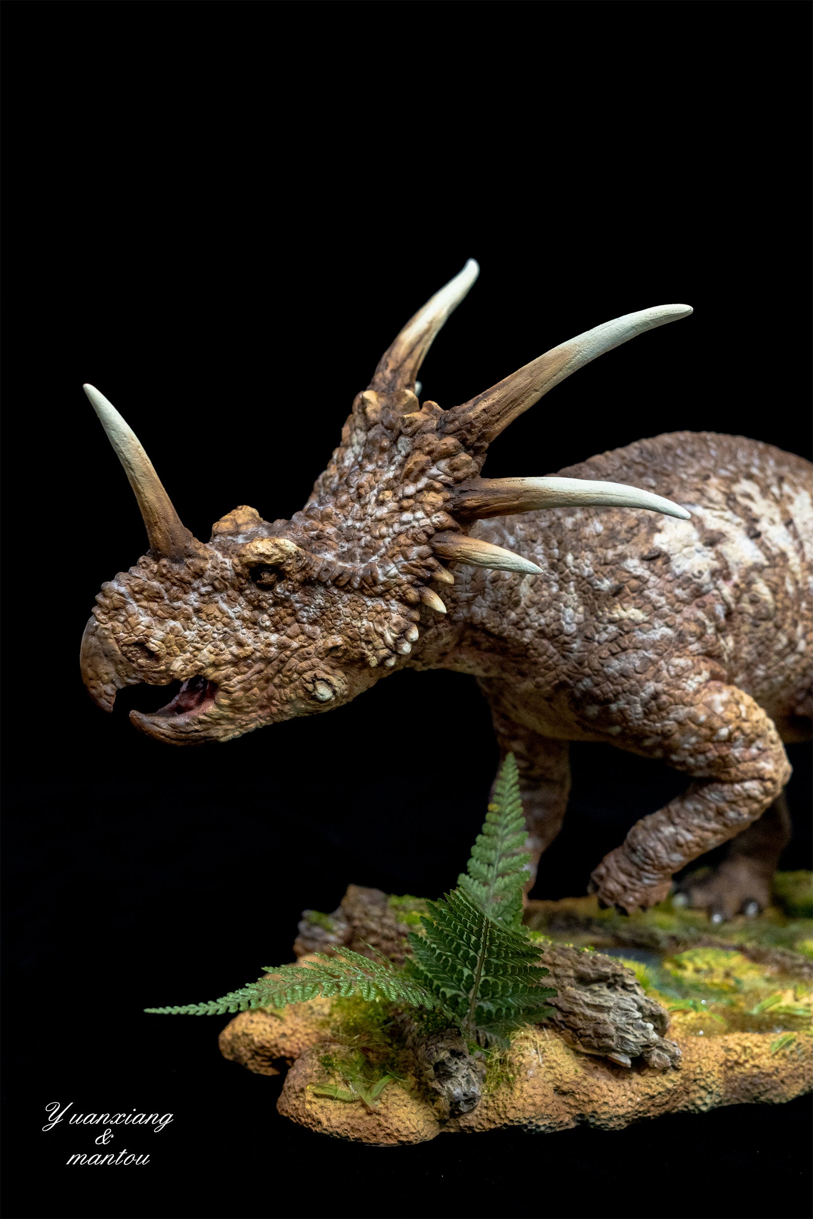 Sumeru Studio Styracosaurus Model