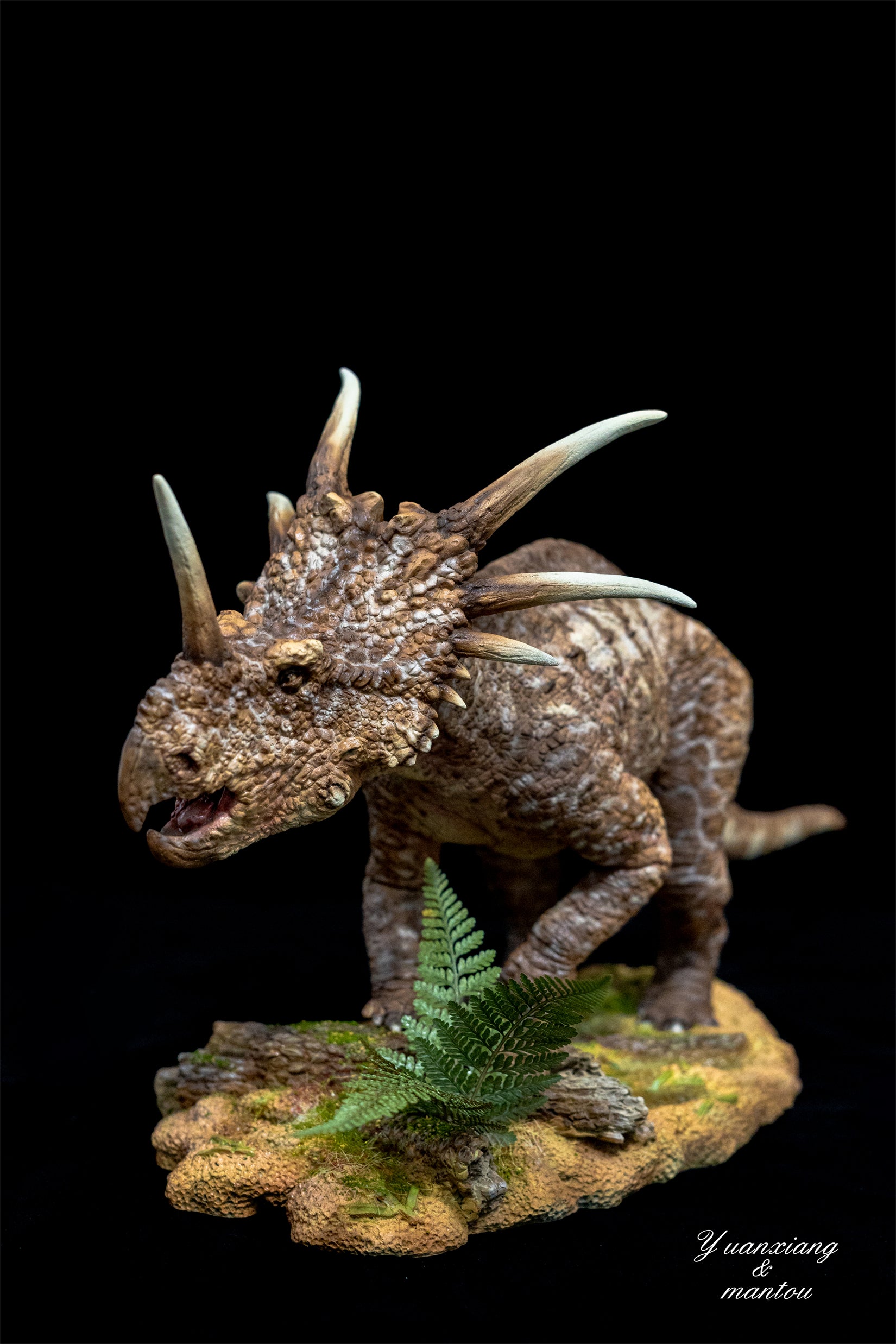 Sumeru Studio Styracosaurus Model