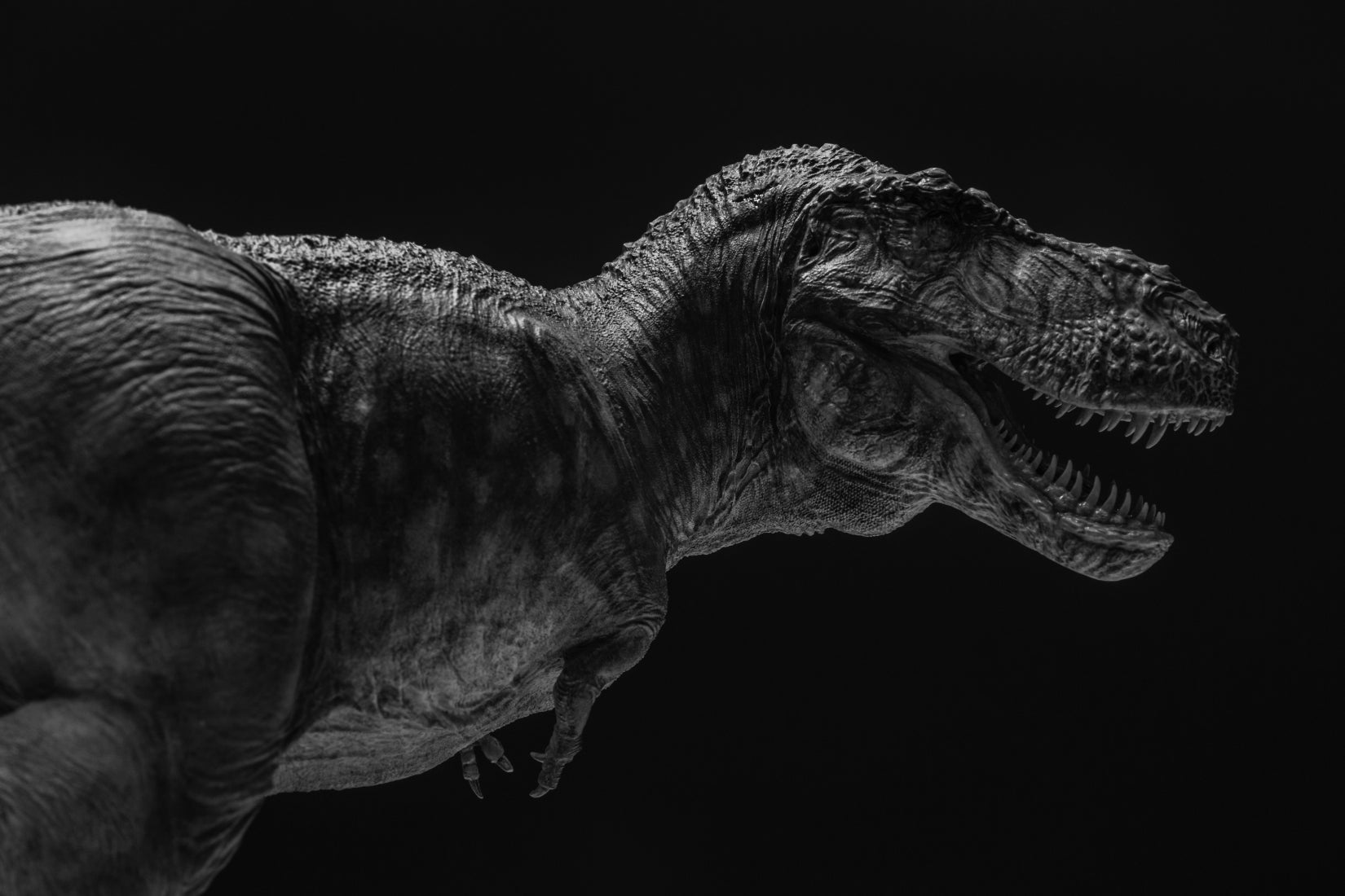 Greenhouse Revolution Studio 1/18 Scale Zhuchengtyrannus Model