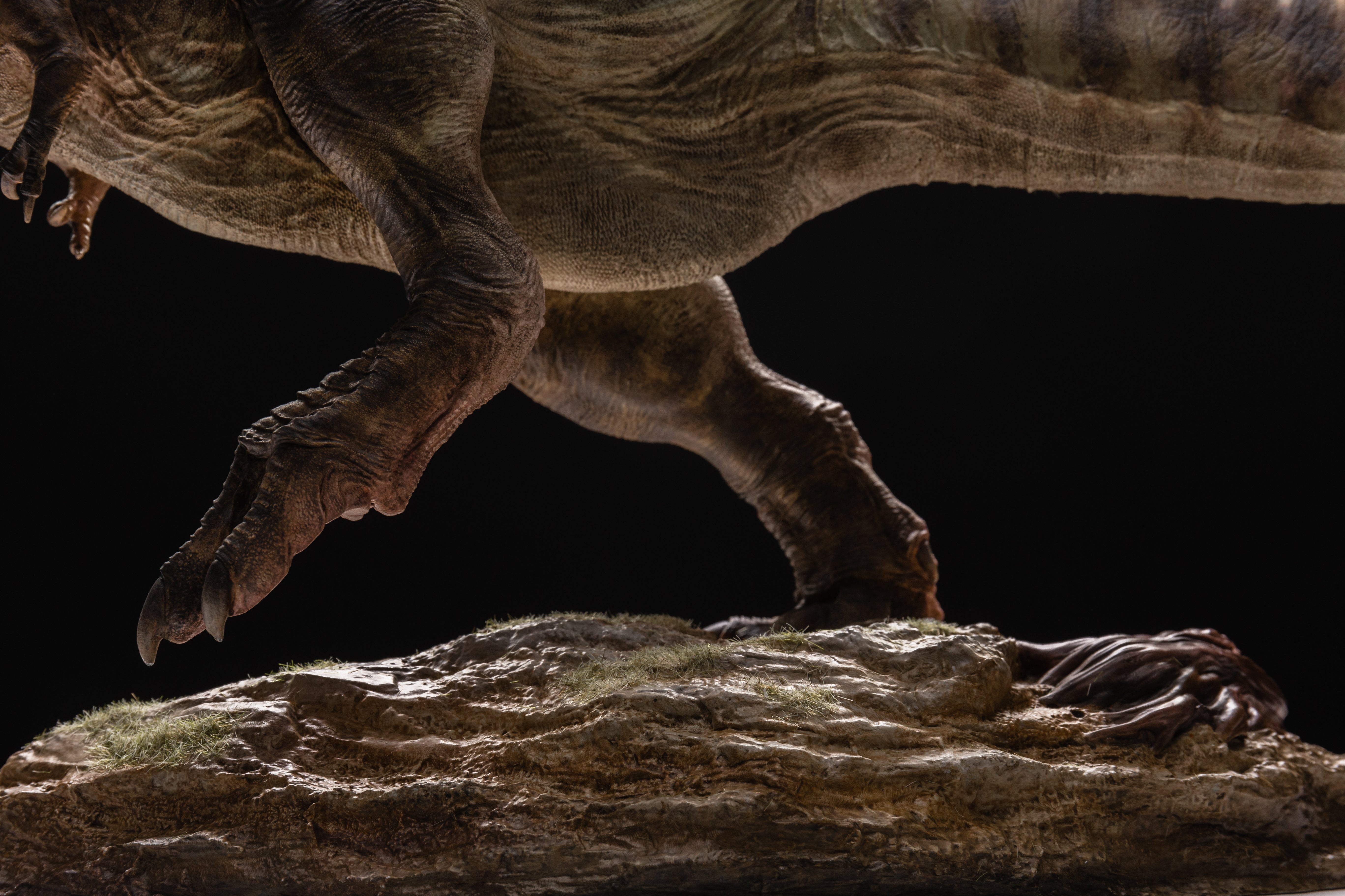 Greenhouse Revolution Studio 1/18 Scale Zhuchengtyrannus Model