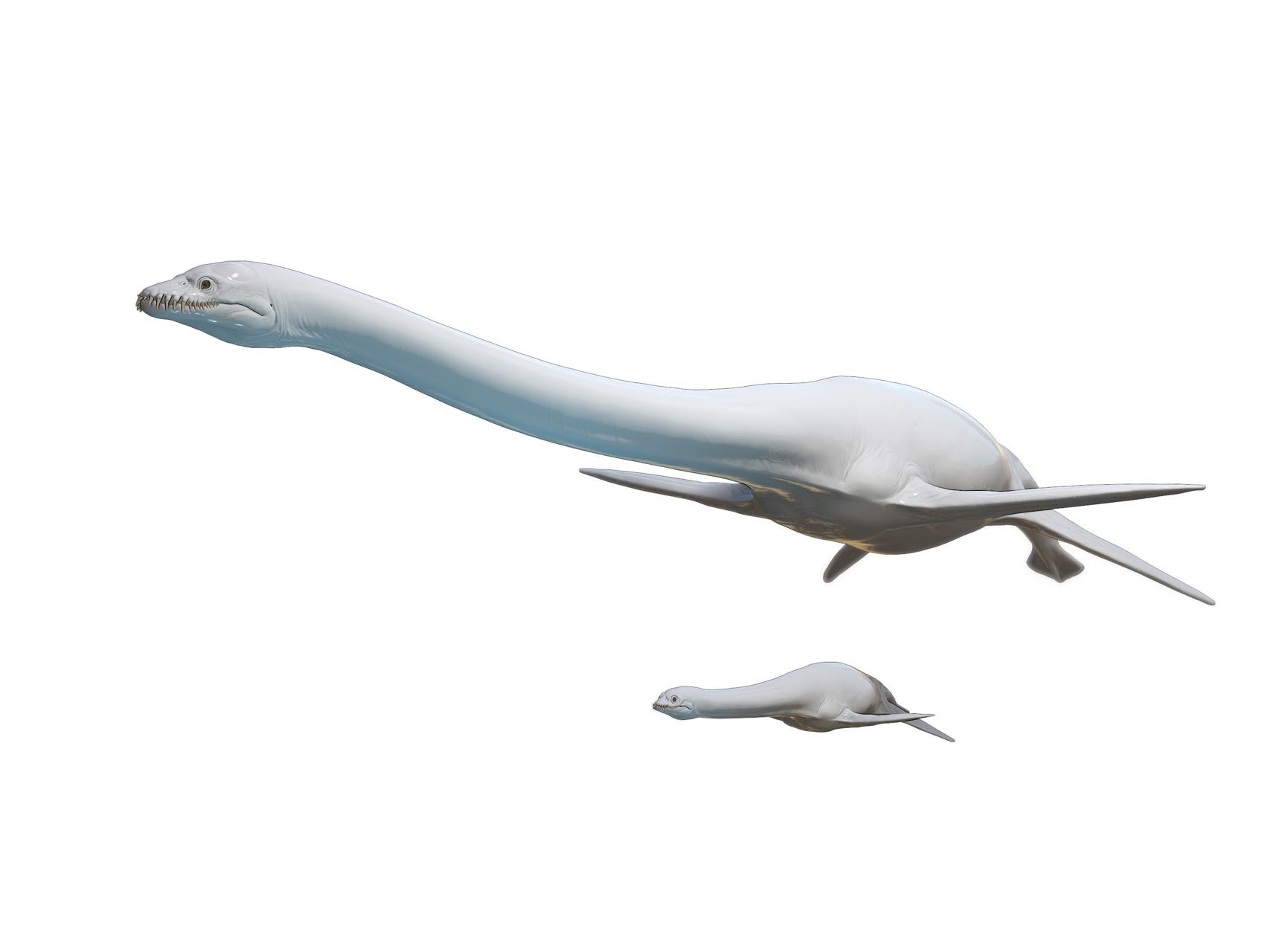 LINGHU ART STUDIO Elasmosaurus Scene Model