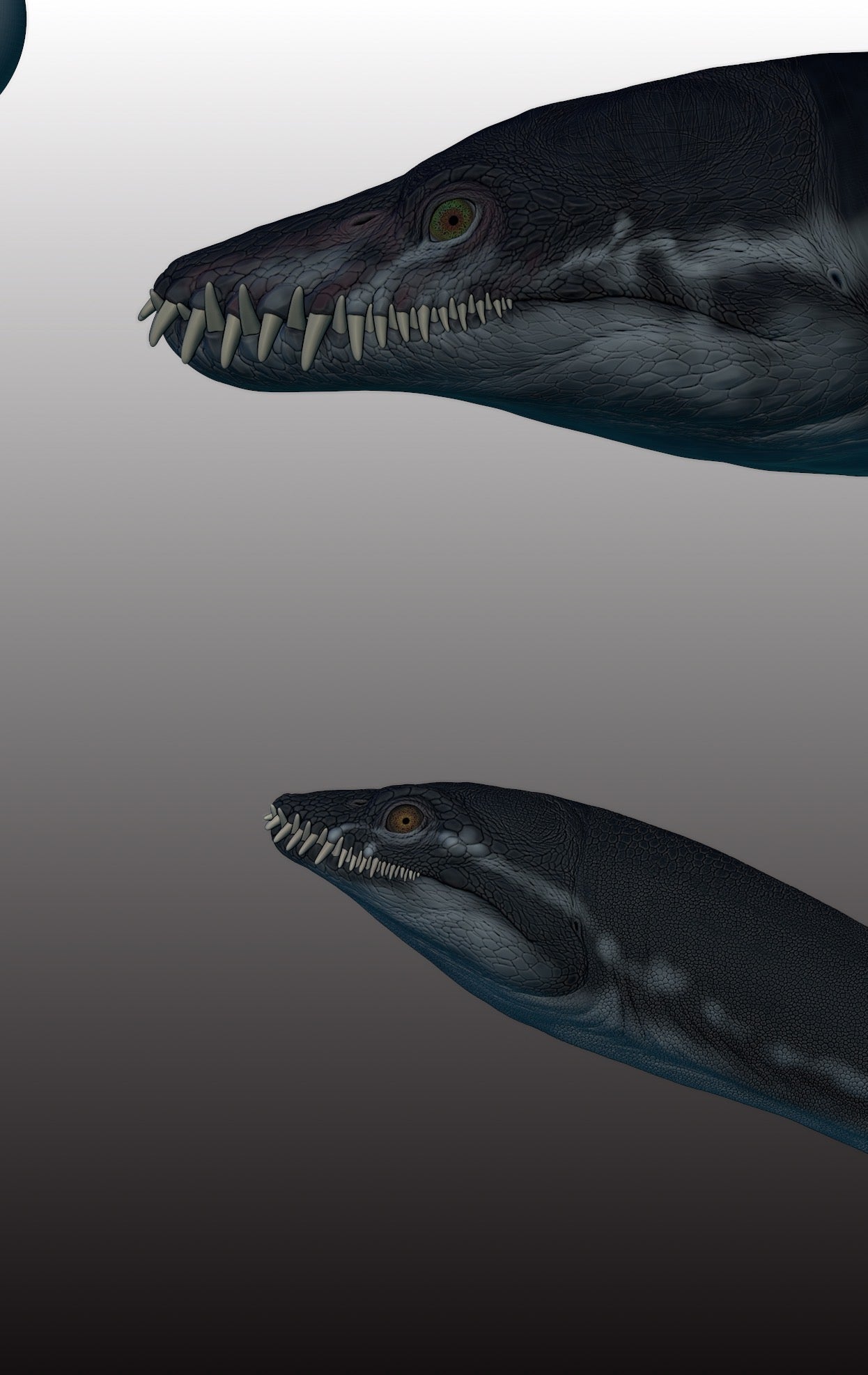 LINGHU ART STUDIO Elasmosaurus Scene Model