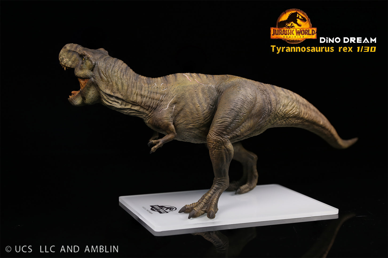 DINO DREAM 1:30 Scale Tyrannosaurus Rex Figure