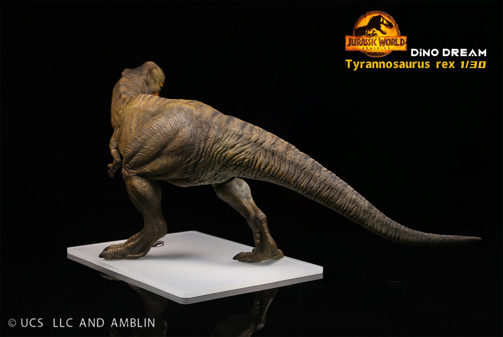 DINO DREAM 1:30 Scale Tyrannosaurus Rex Figure