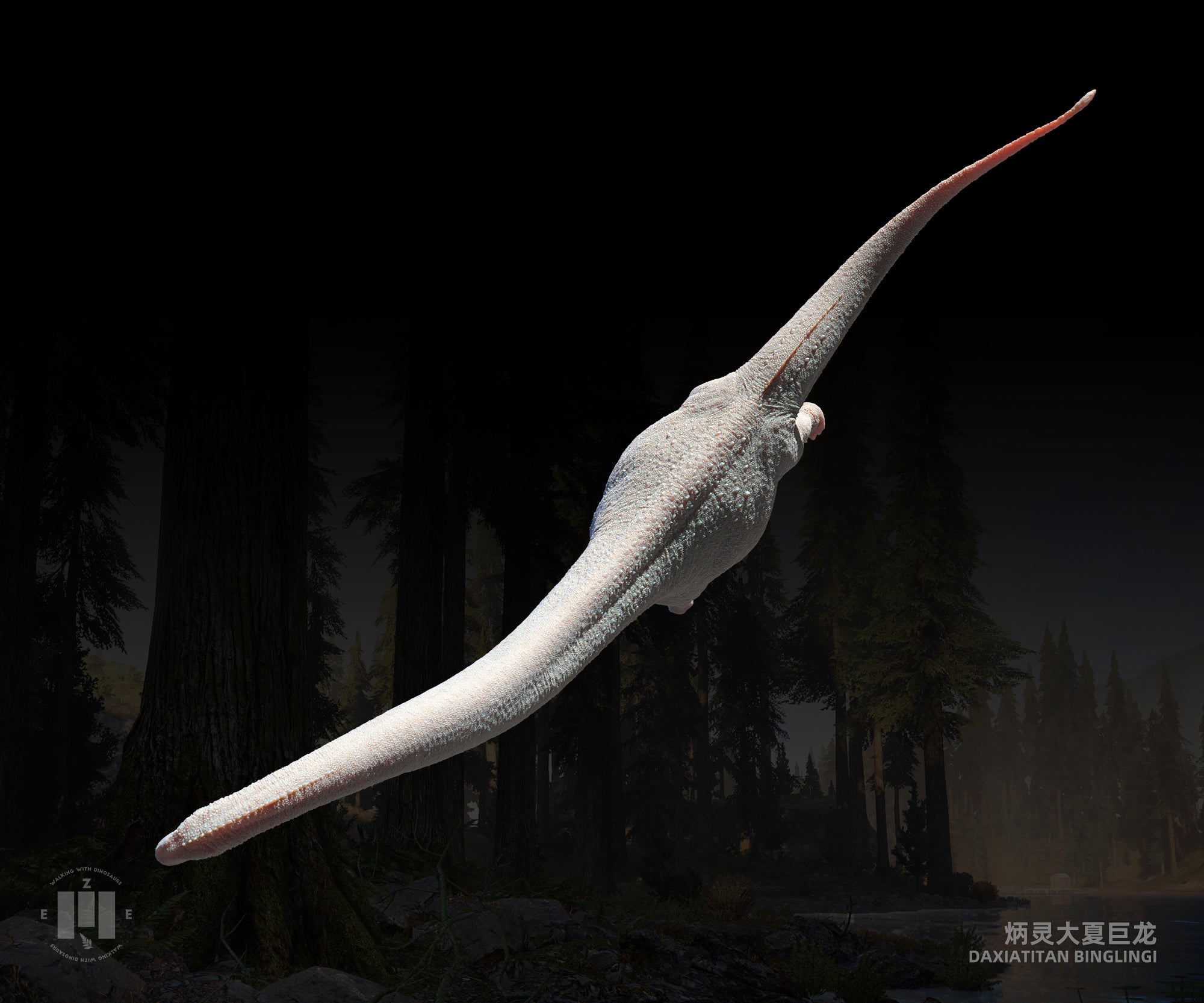 ZEE STUDIO Daxiatitan binglingi Model