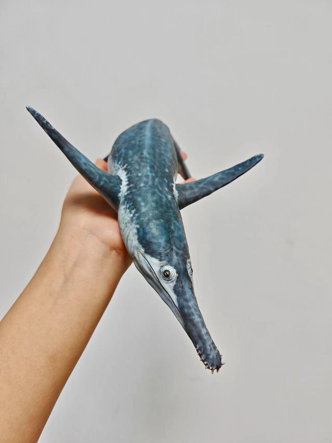 Cen DaoYi Studio 1:18 Scale Sachicasaurus vitae Model