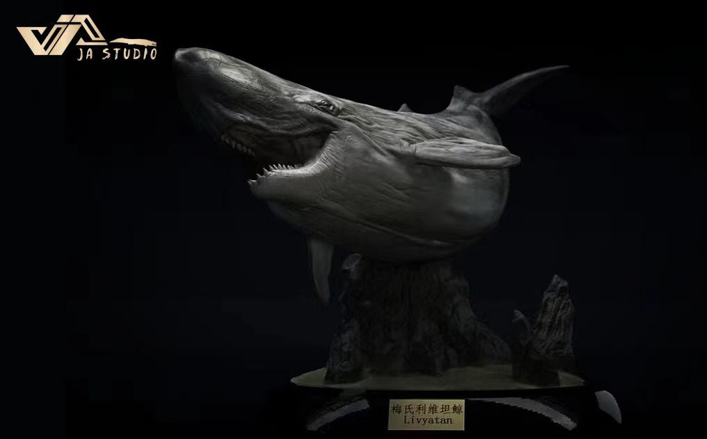 JA Studio Livyatan Squalodon Scene Model