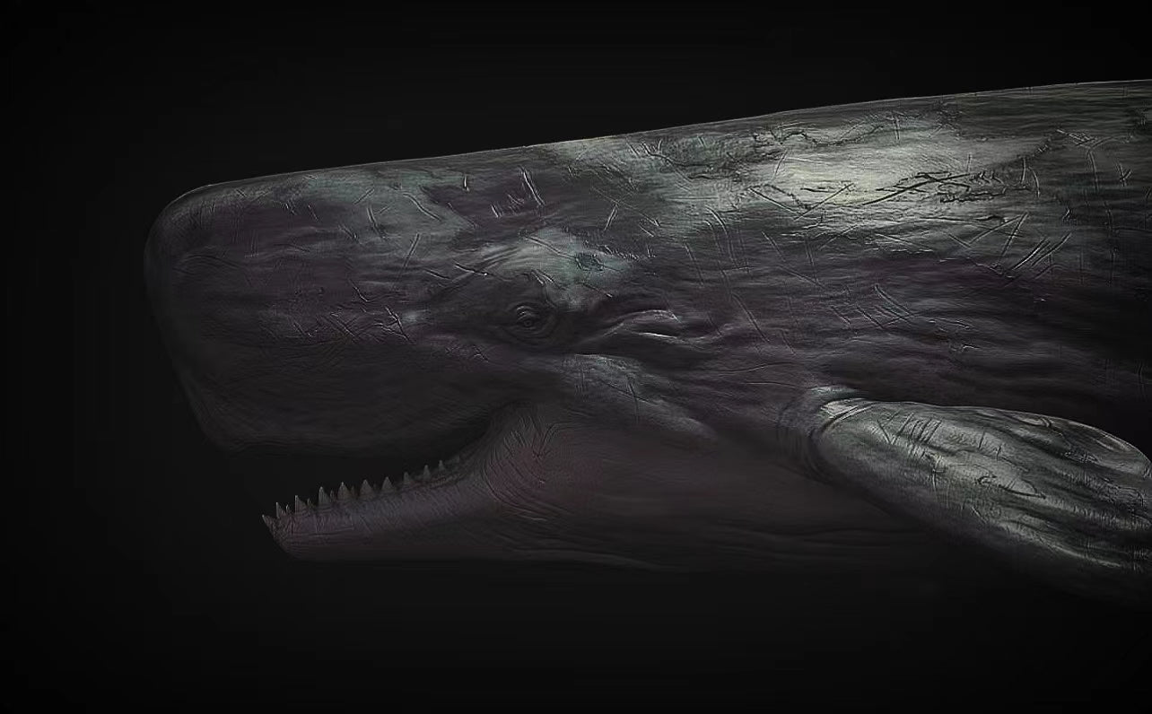 JA Studio Livyatan Squalodon Scene Model