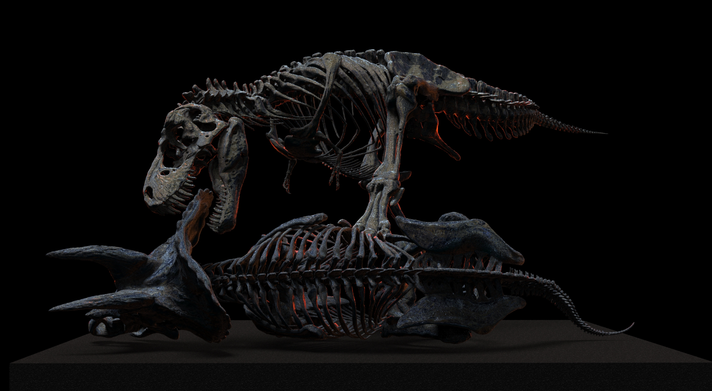 1/18 Scale Tyrannosaurus Rex Hunt Triceratops Skeleton Model