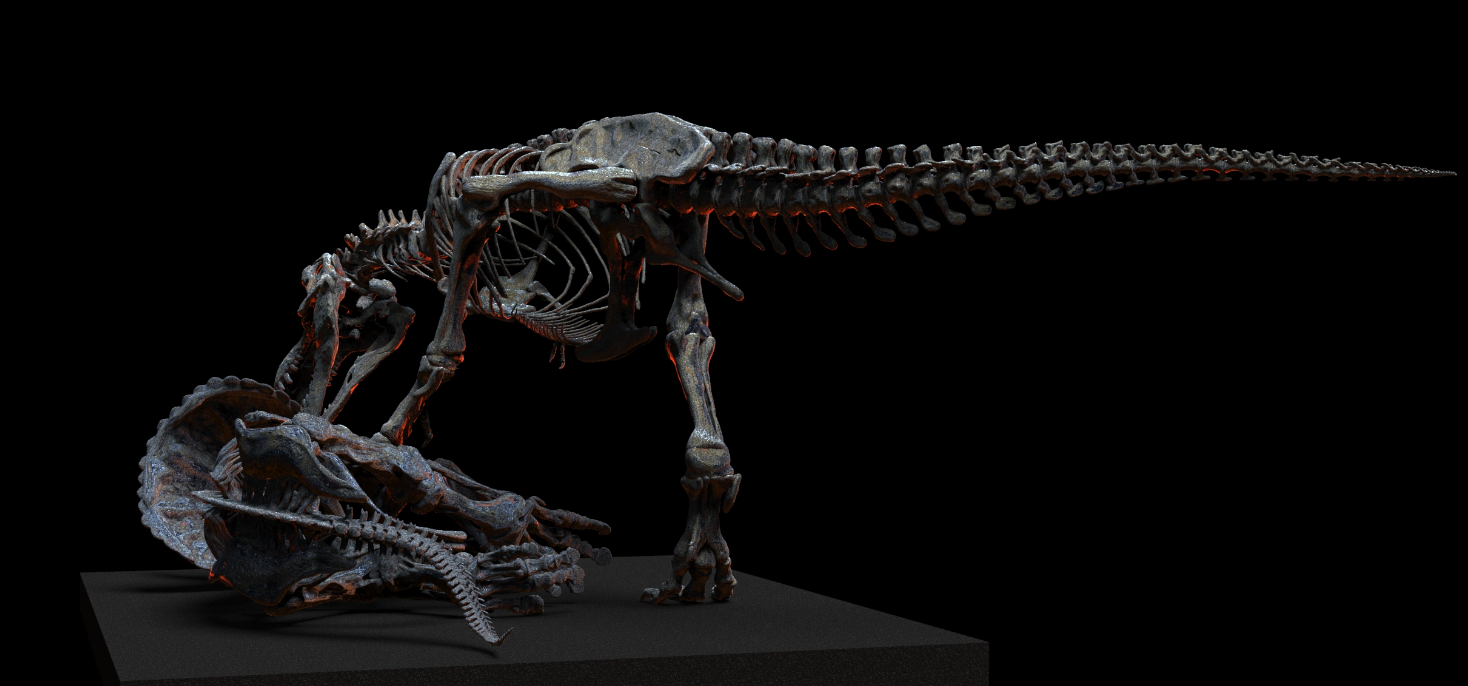 1/18 Scale Tyrannosaurus Rex Hunt Triceratops Skeleton Model