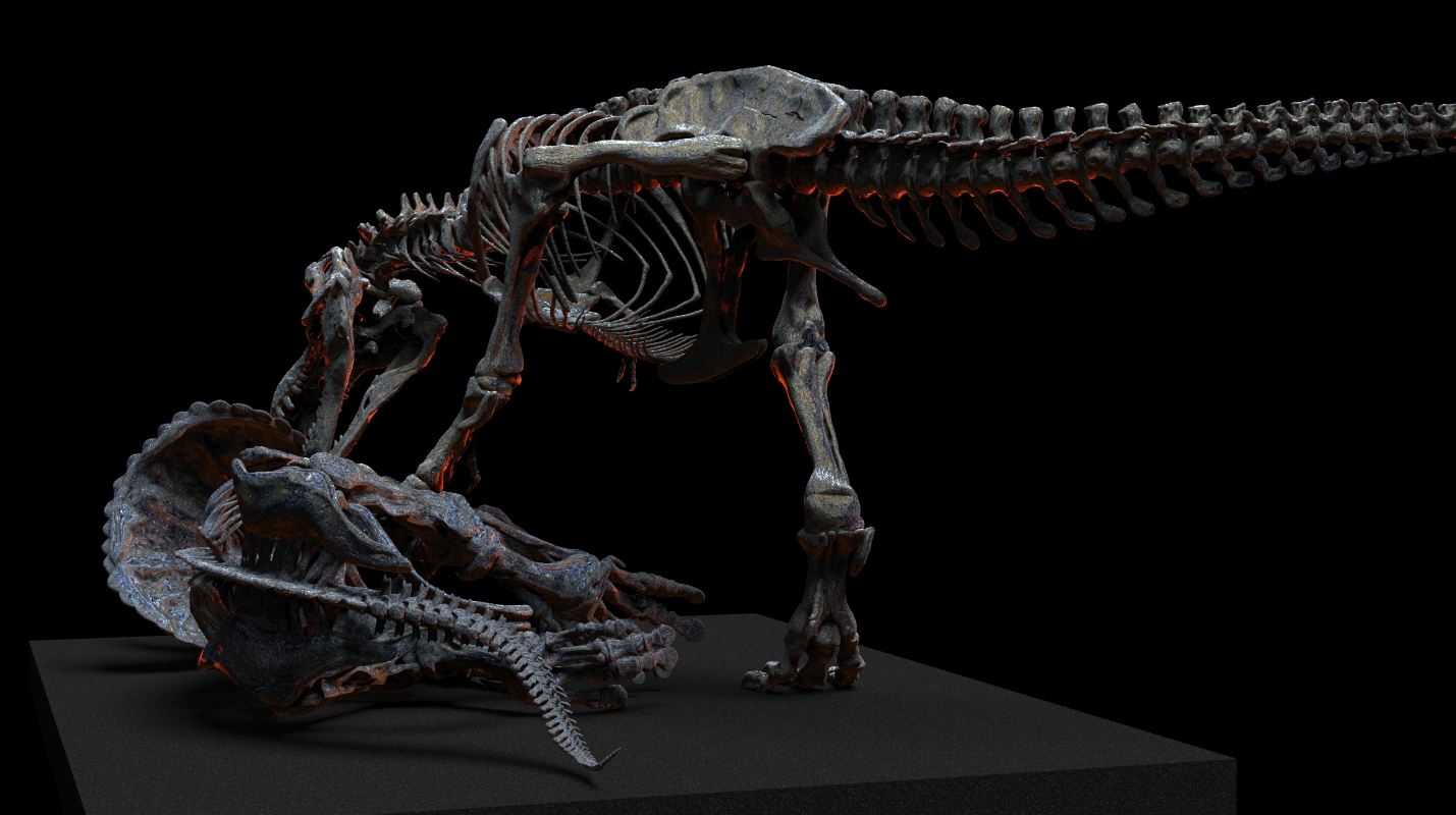 1/18 Scale Tyrannosaurus Rex Hunt Triceratops Skeleton Model