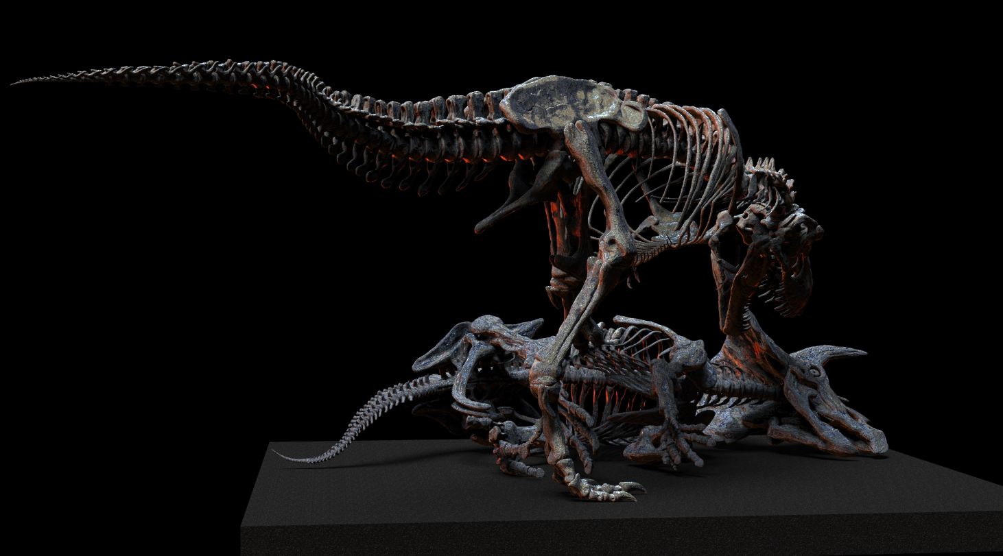 1/18 Scale Tyrannosaurus Rex Hunt Triceratops Skeleton Model