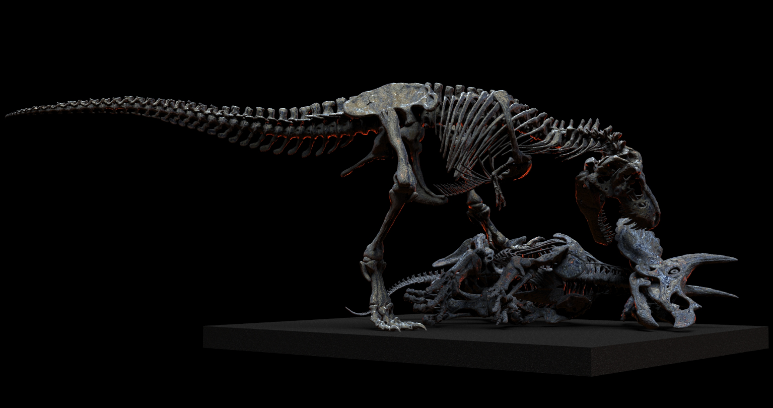 1/18 Scale Tyrannosaurus Rex Hunt Triceratops Skeleton Model