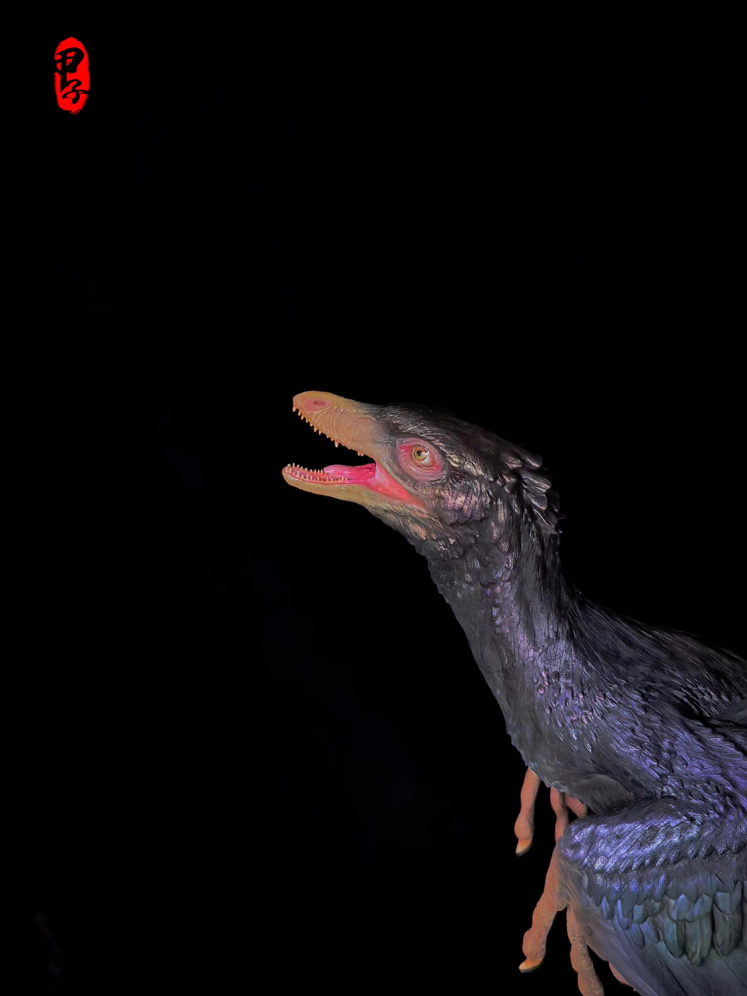 Lazur Studio 1/2 Scale Microraptor Model
