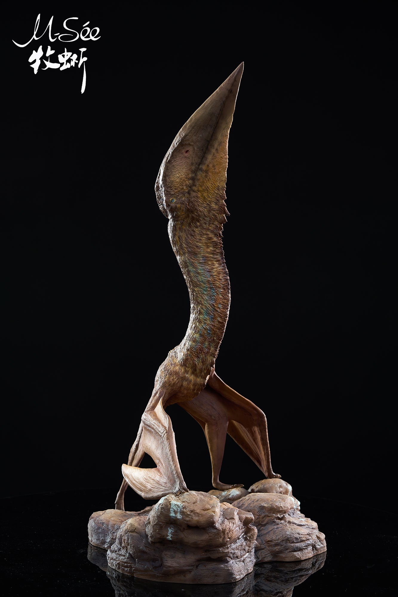 MuSee Studio 1/18 Scale Hatzegopteryx Model