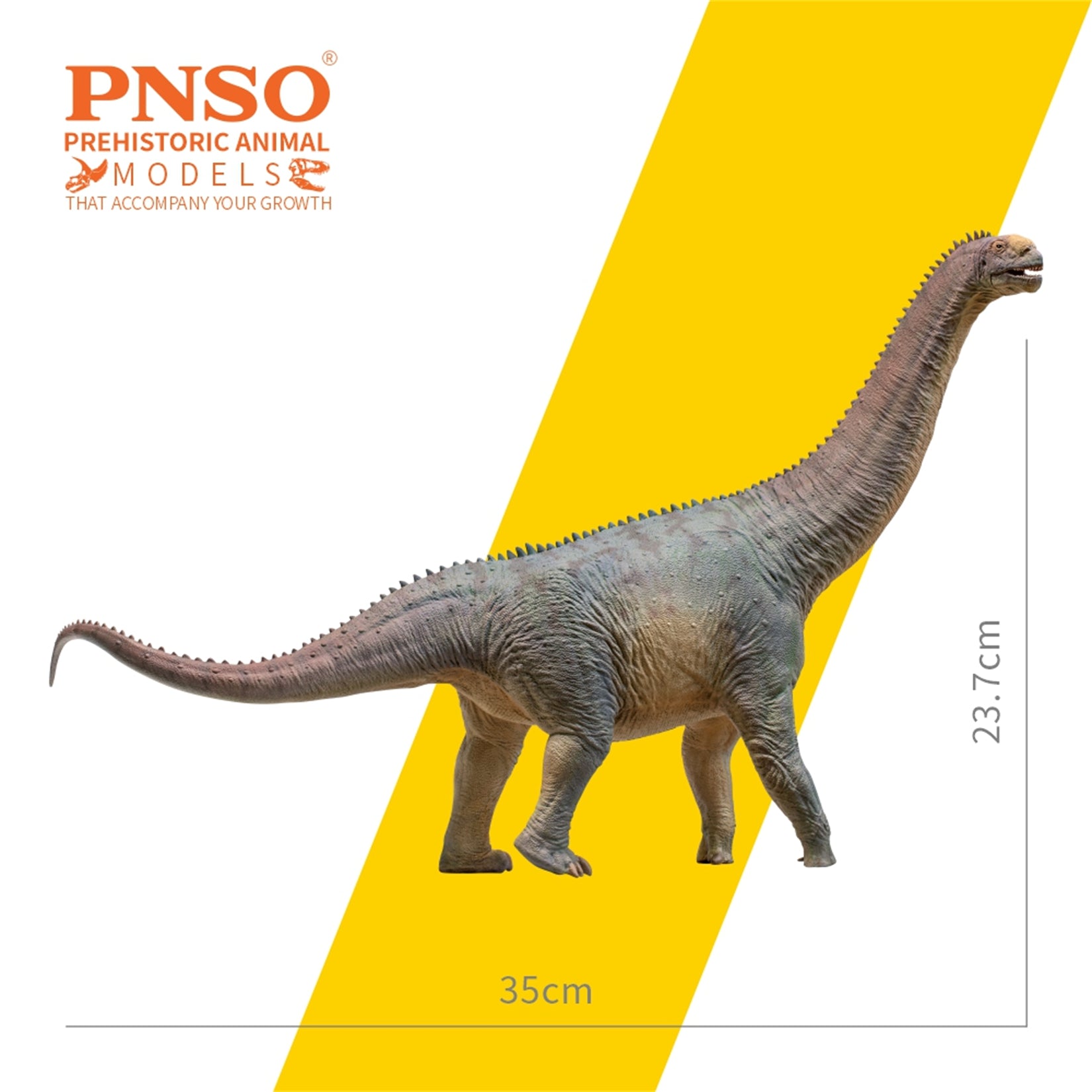 PNSO Camarasaurus Njor Model