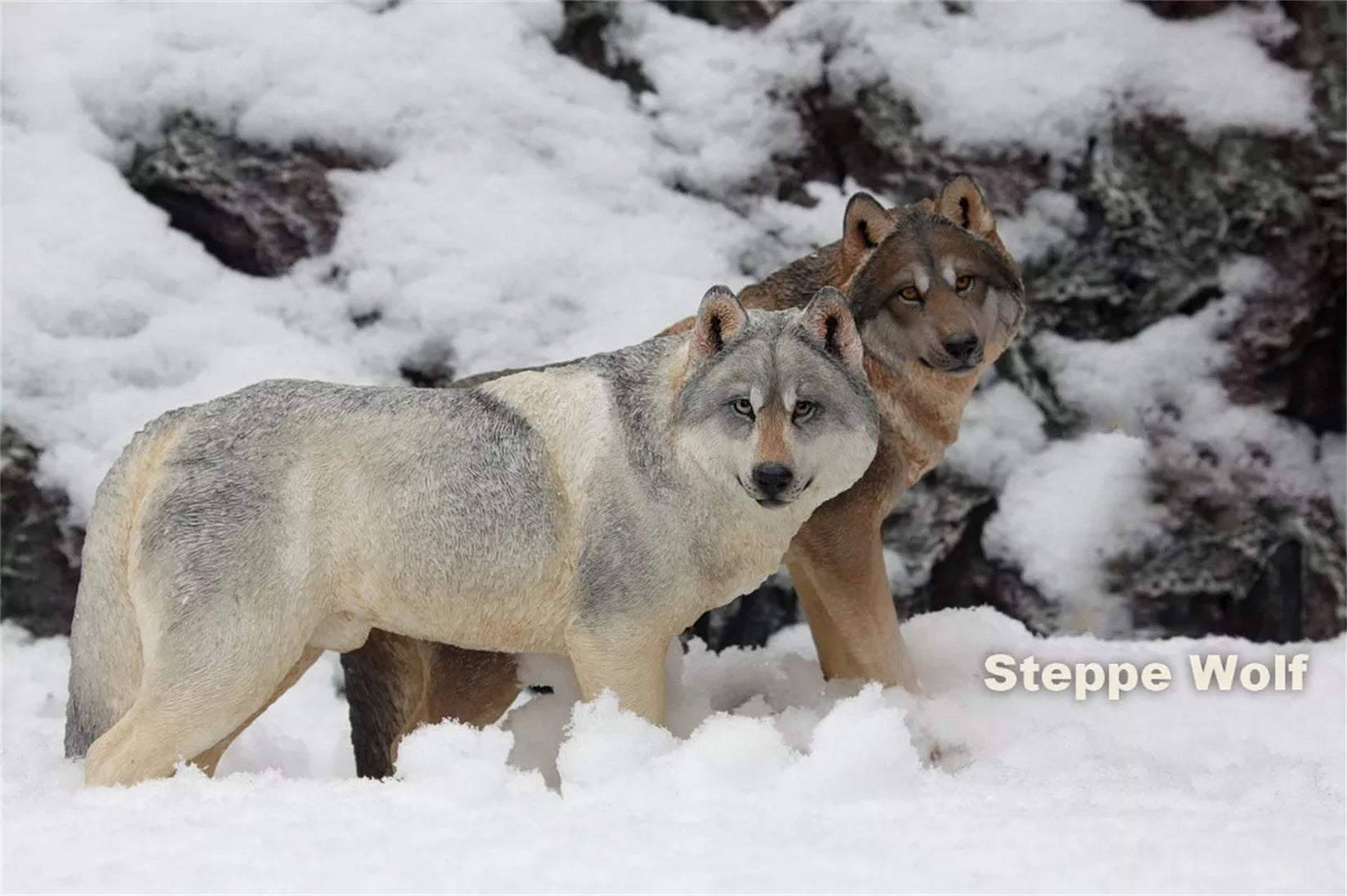 1/6 Steppe Wolf Figure