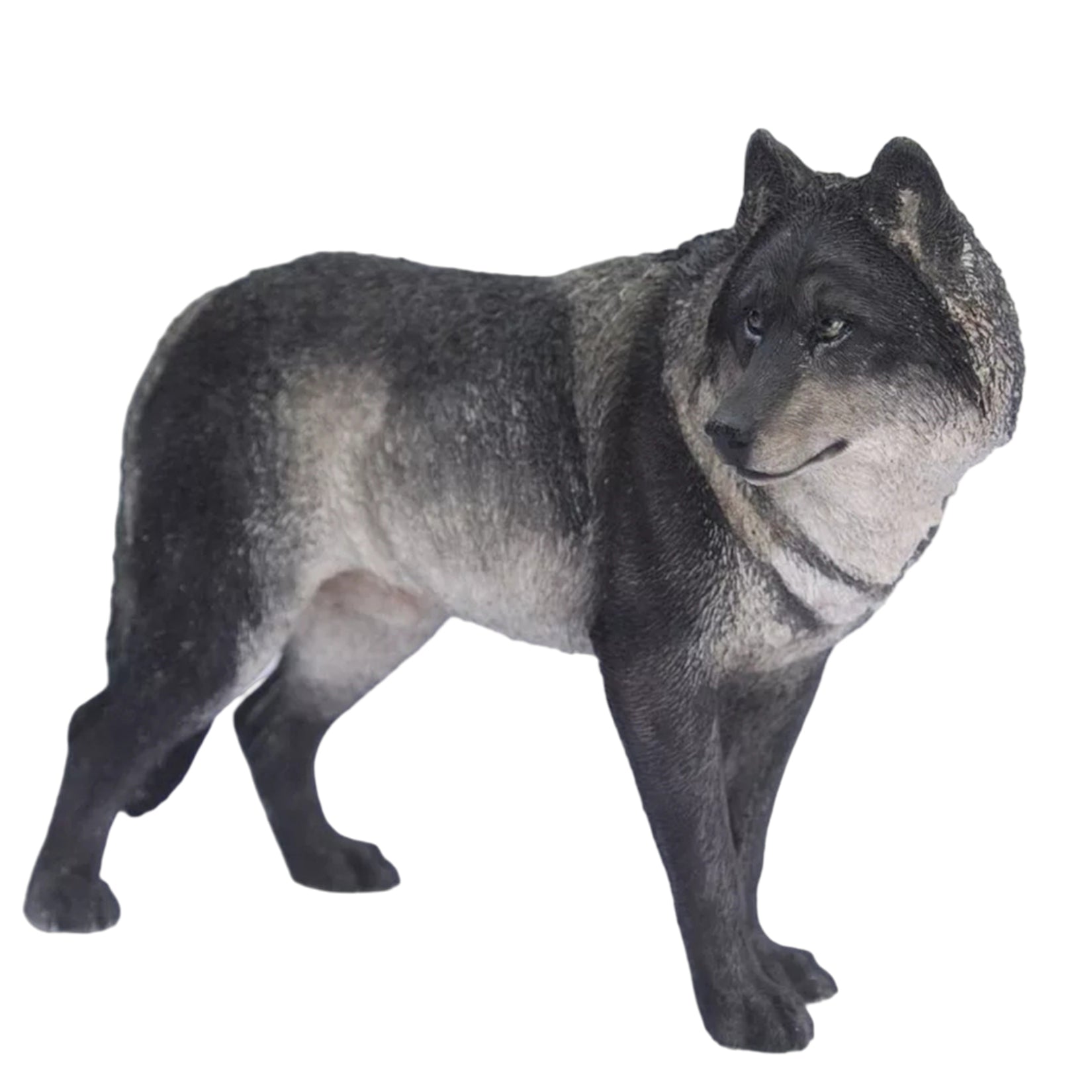 1/6 Steppe Wolf Figure