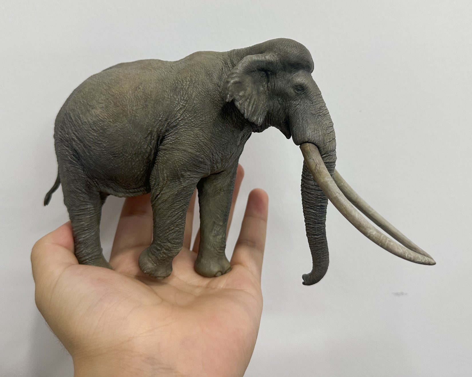 SHOWANNA Palaeoloxodon antiquus Model