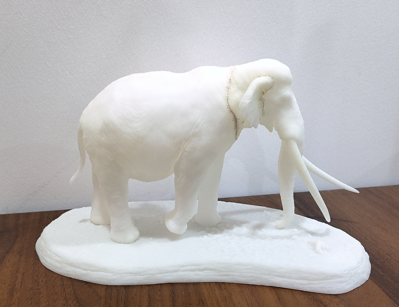 SHOWANNA Palaeoloxodon antiquus Model