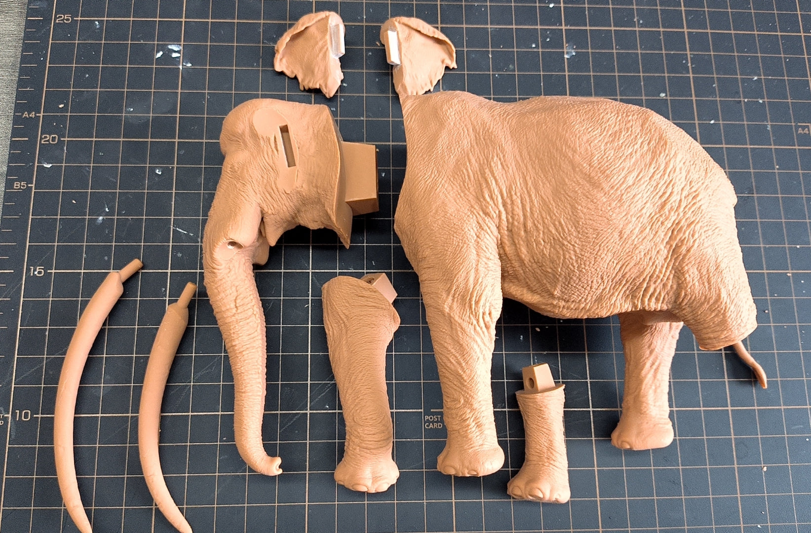 SHOWANNA Palaeoloxodon antiquus Model
