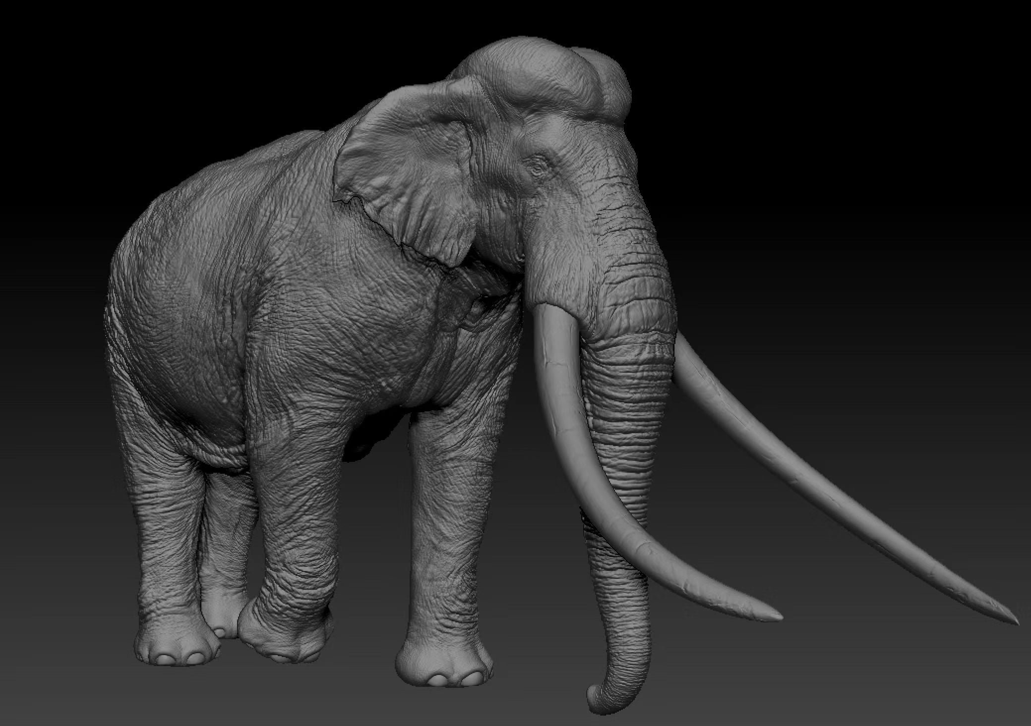 SHOWANNA Palaeoloxodon antiquus Model